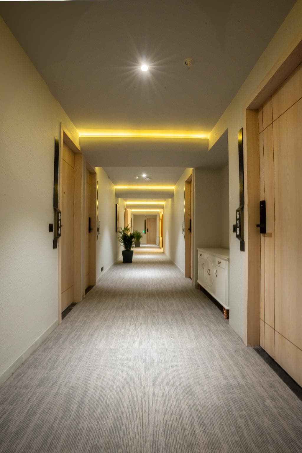 Hotel Bellevue photo 4
