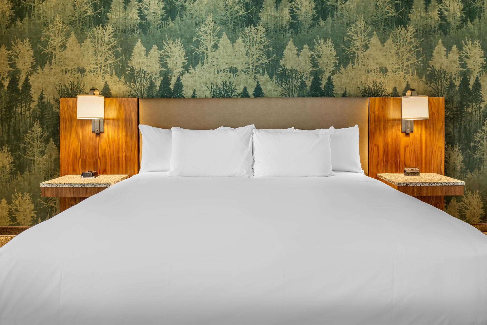 Drury Plaza Hotel Pigeon Forge photo 2