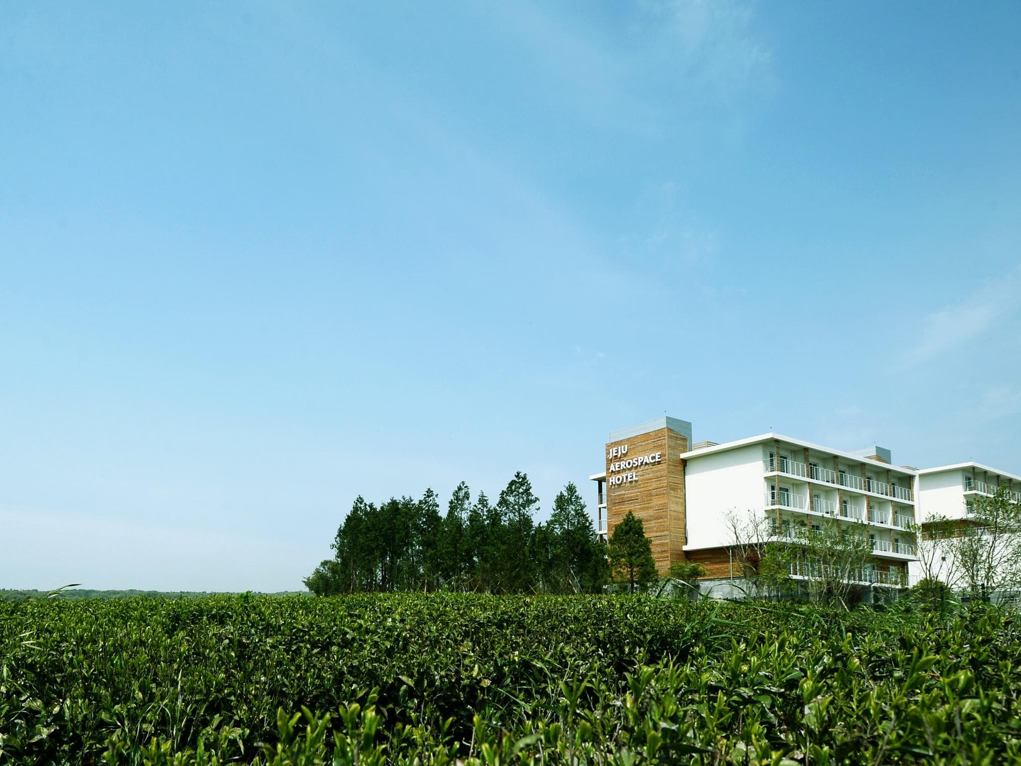 Jeju Aerospace Hotel photo 3