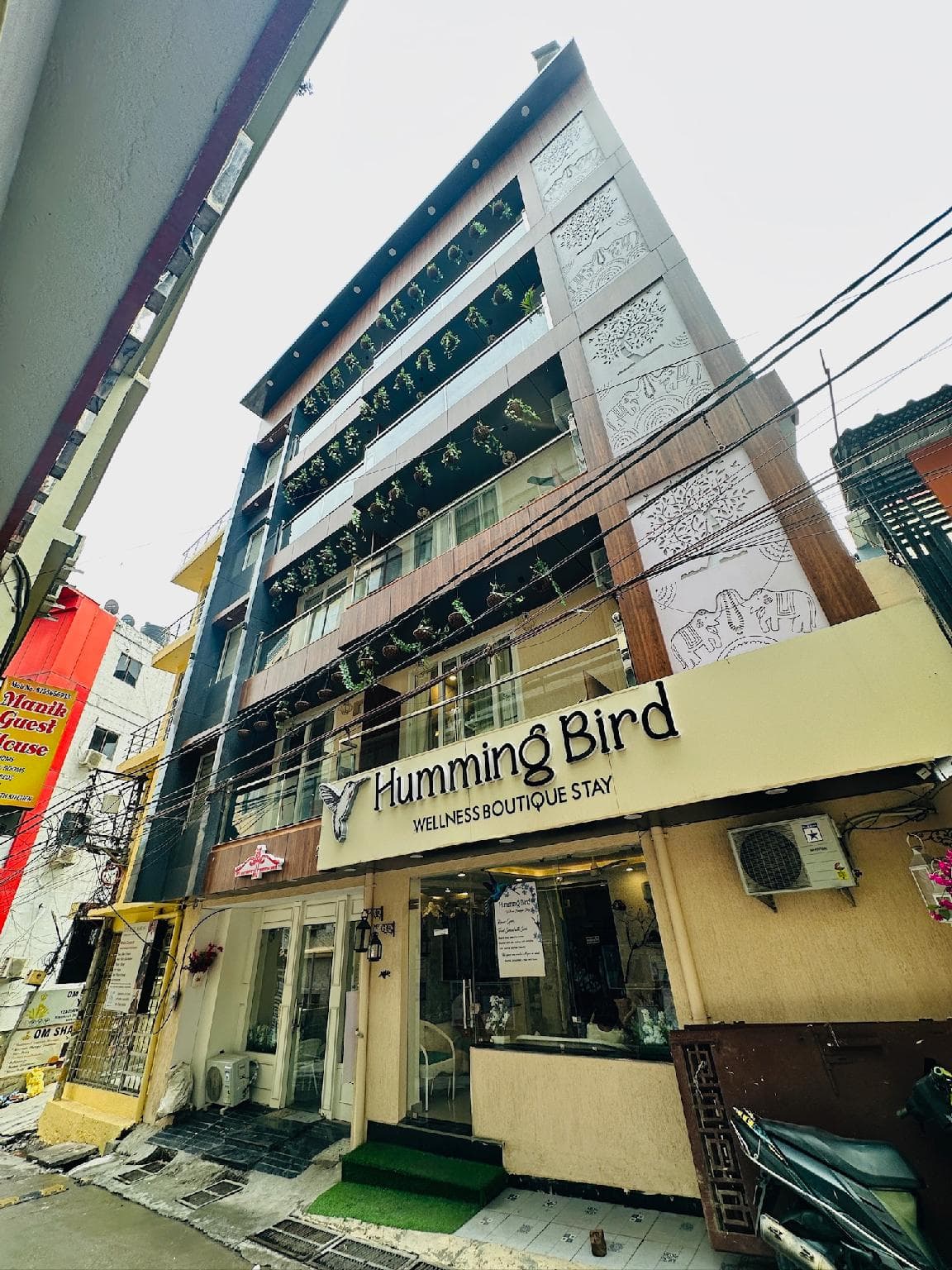 Humming Bird - Luxury Stay