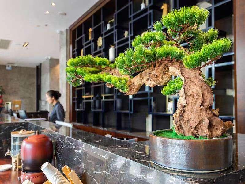 Jinjiang Metropolo Hotel Dongguan Gaobu Shixing Center photo 4
