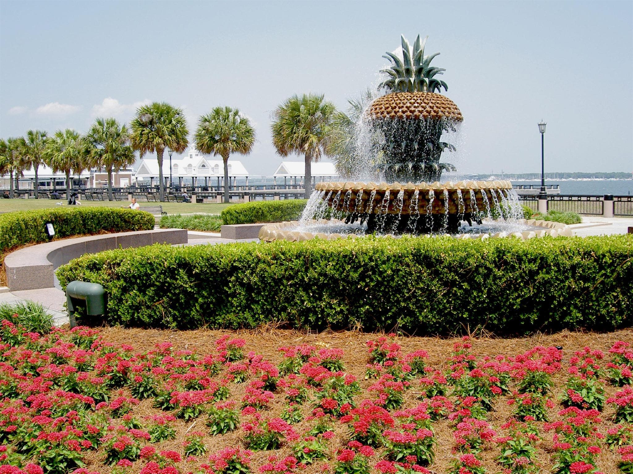 DoubleTree by Hilton Charleston Riverview photo 5