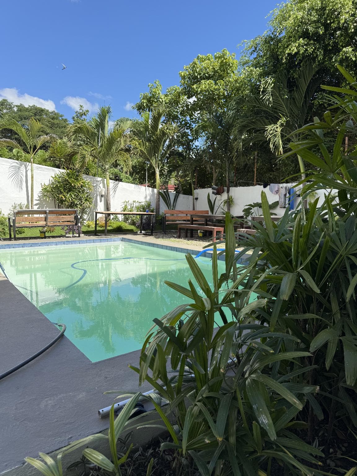 SOLA GUESTHOUSE photo 3