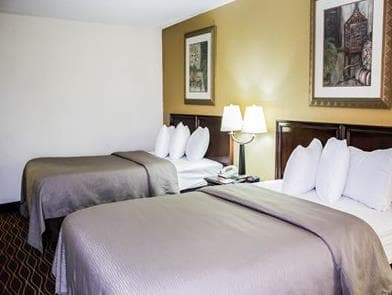 Comfort Inn & Suites Durham near Duke University photo 2