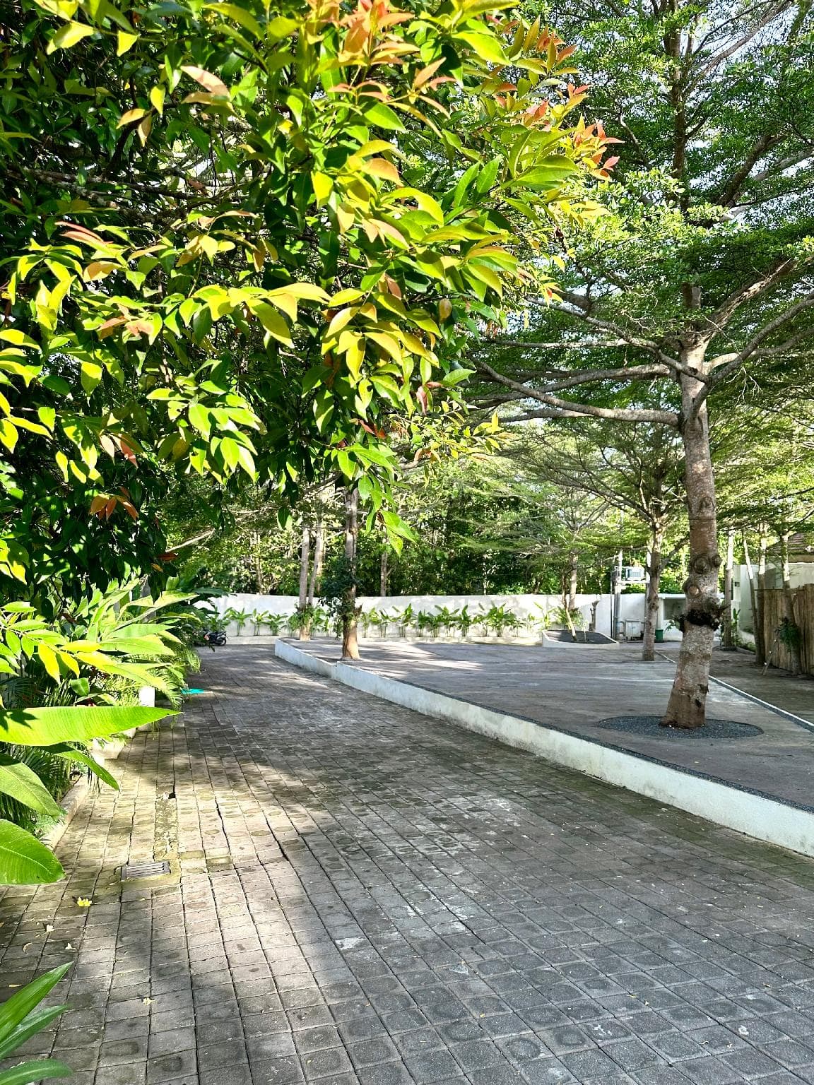 The Ulu Hills