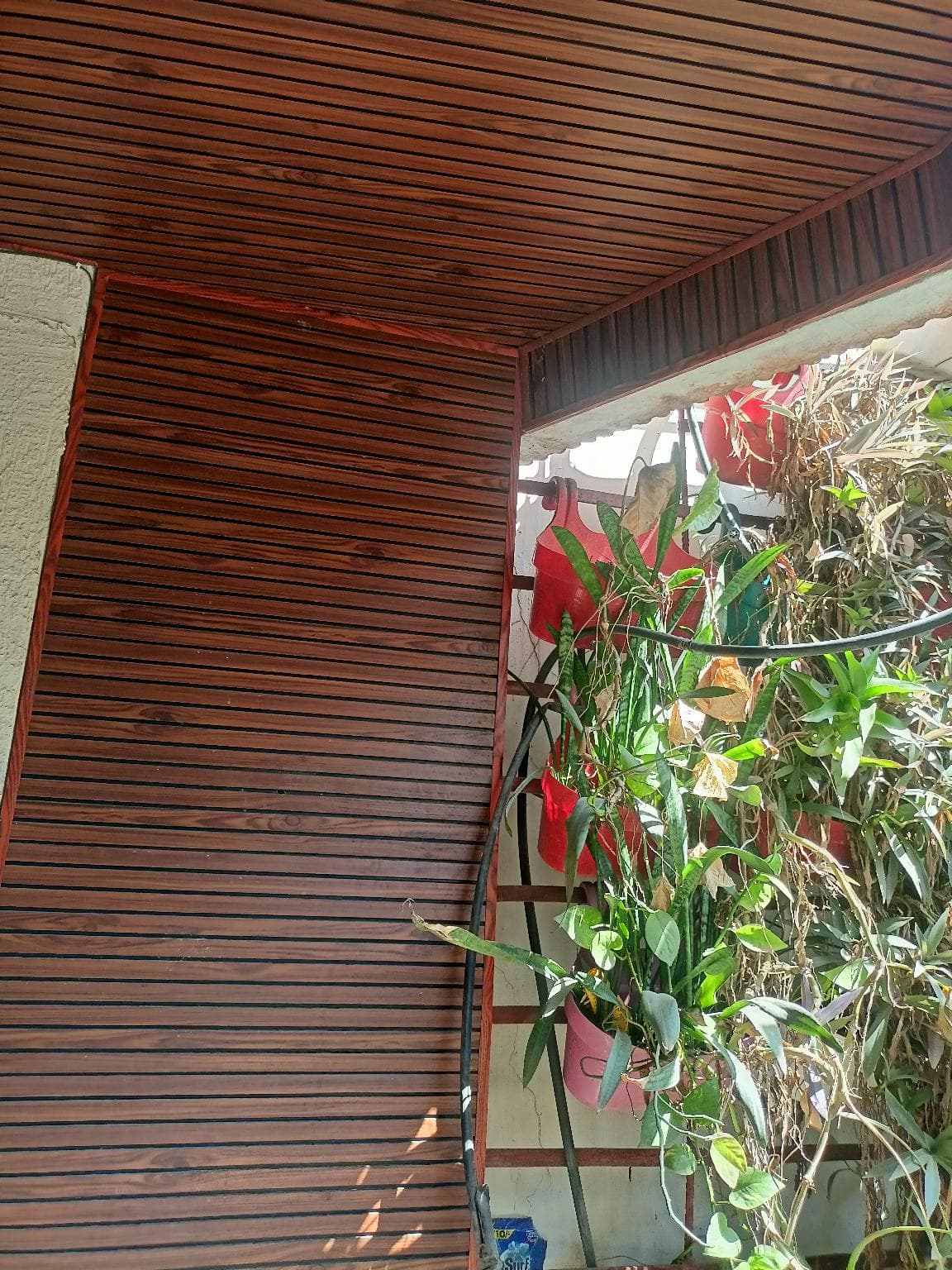 Bhopal Stay Nehru nagar photo 3