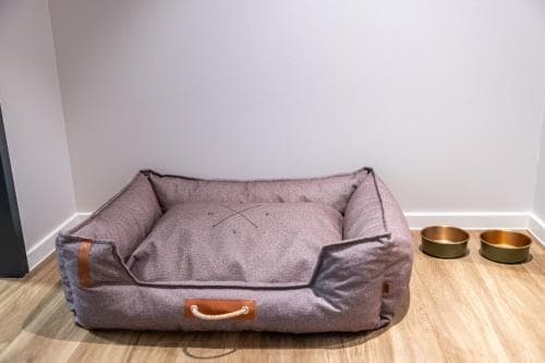 Platzhirsch Living photo 5