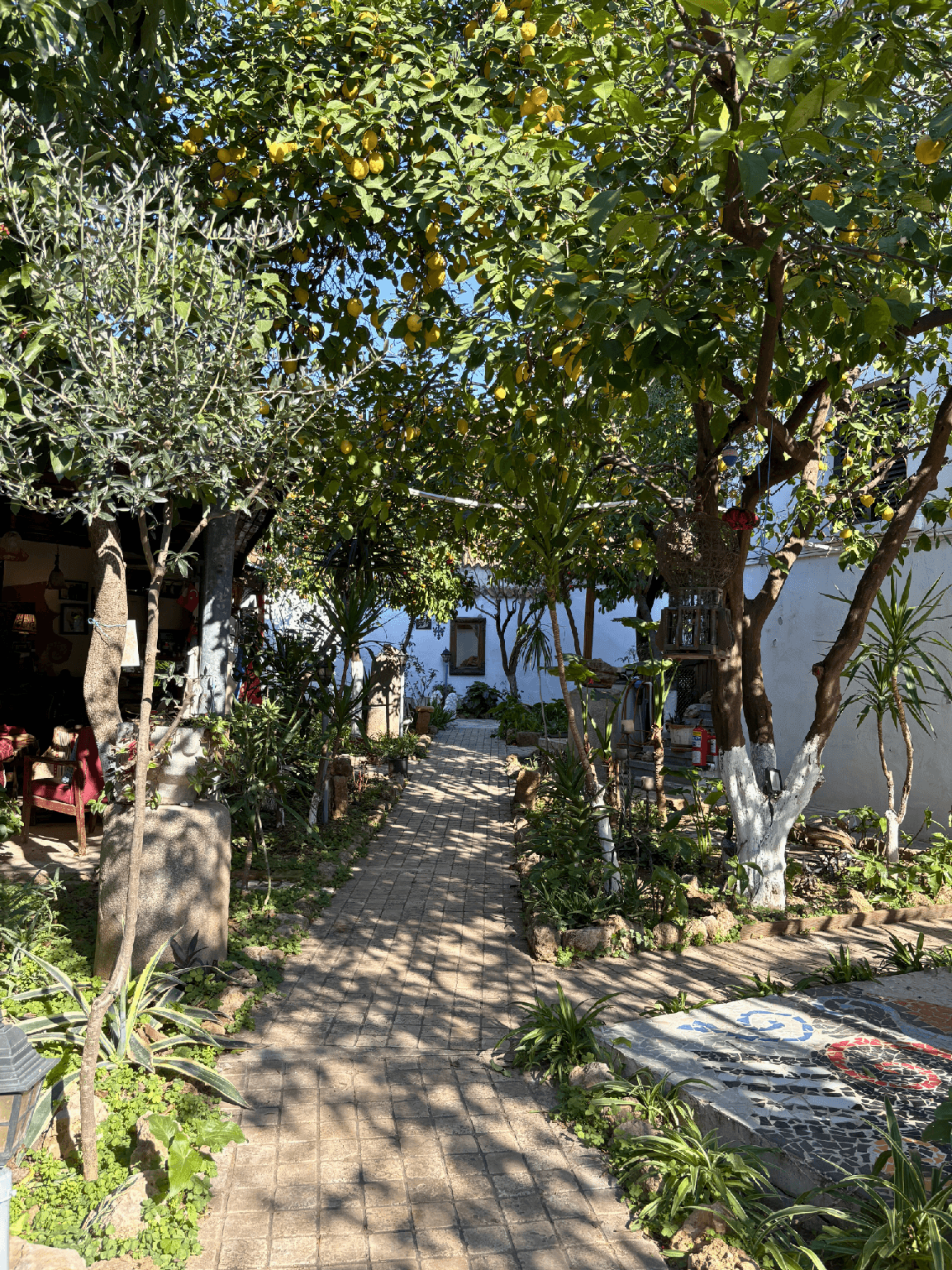 Hadrianus Hotel Kaleiçi photo 5