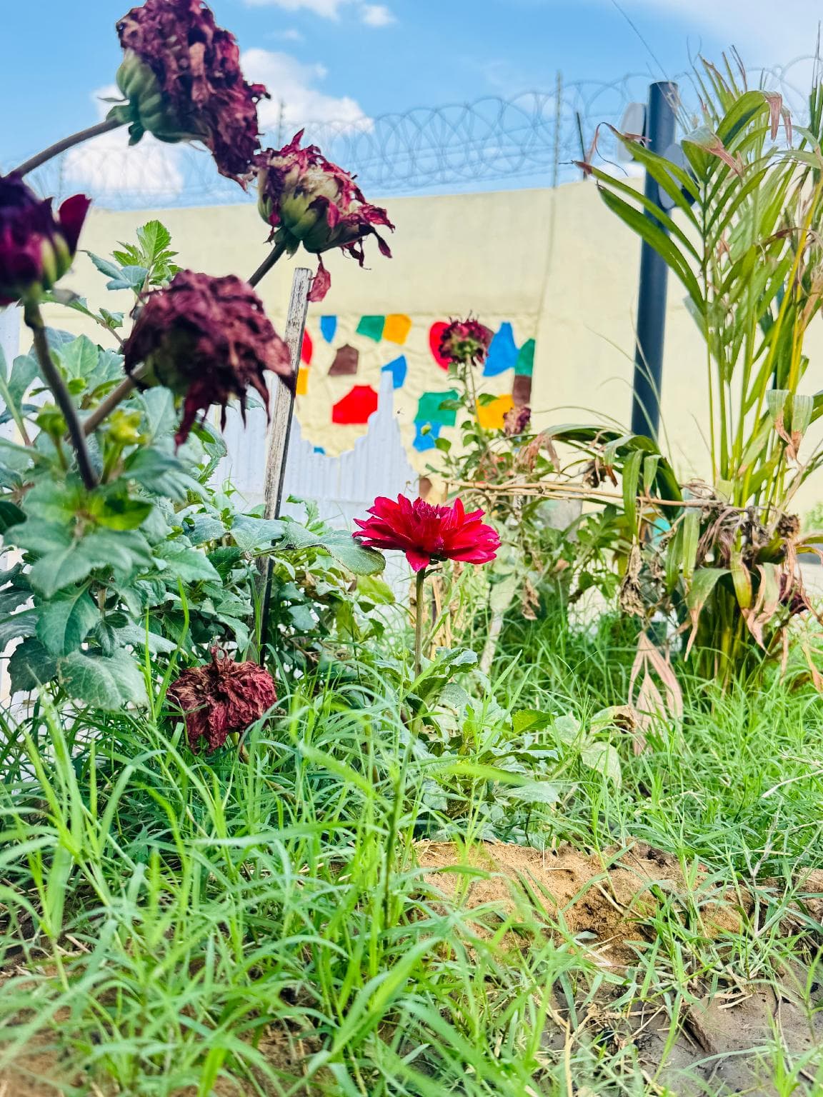 FLY VIEW Garden Home with Airport Runway View Stay photo 3