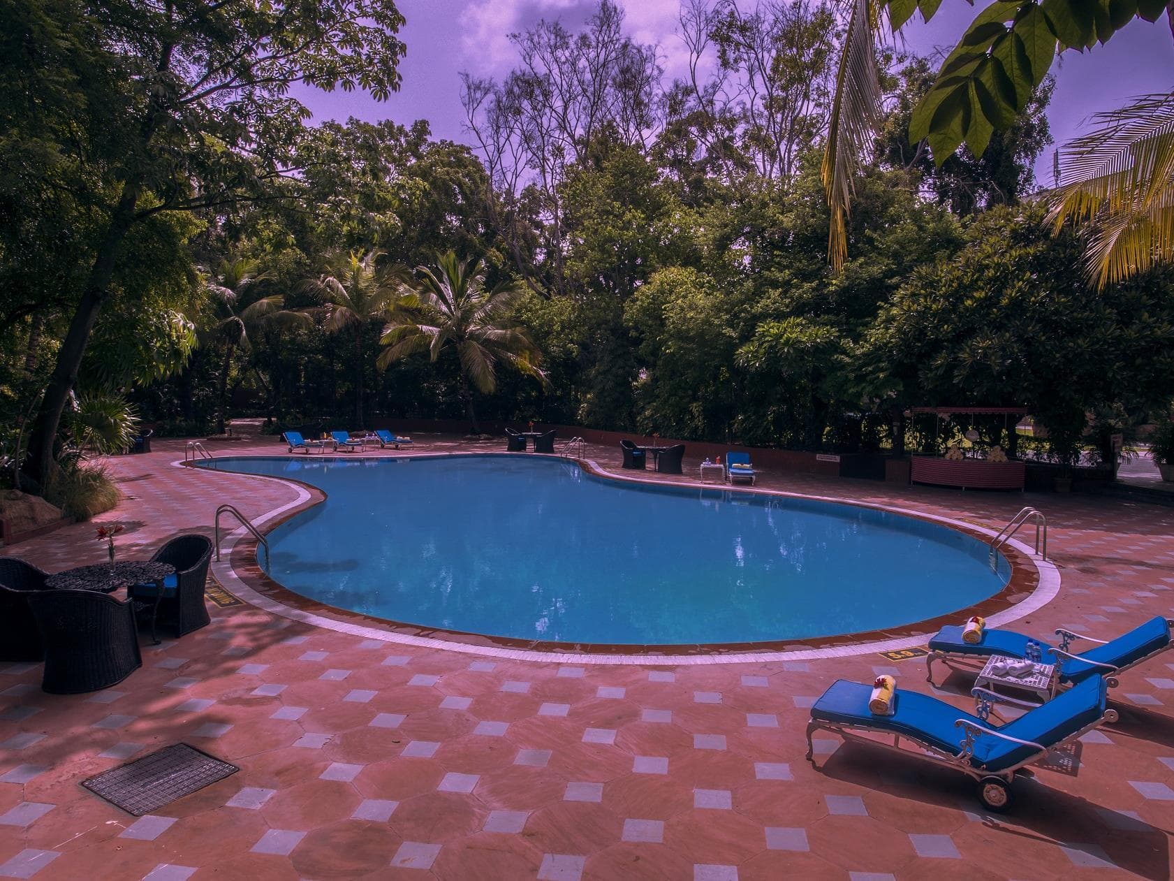 Taj Deccan, Hyderabad photo 4