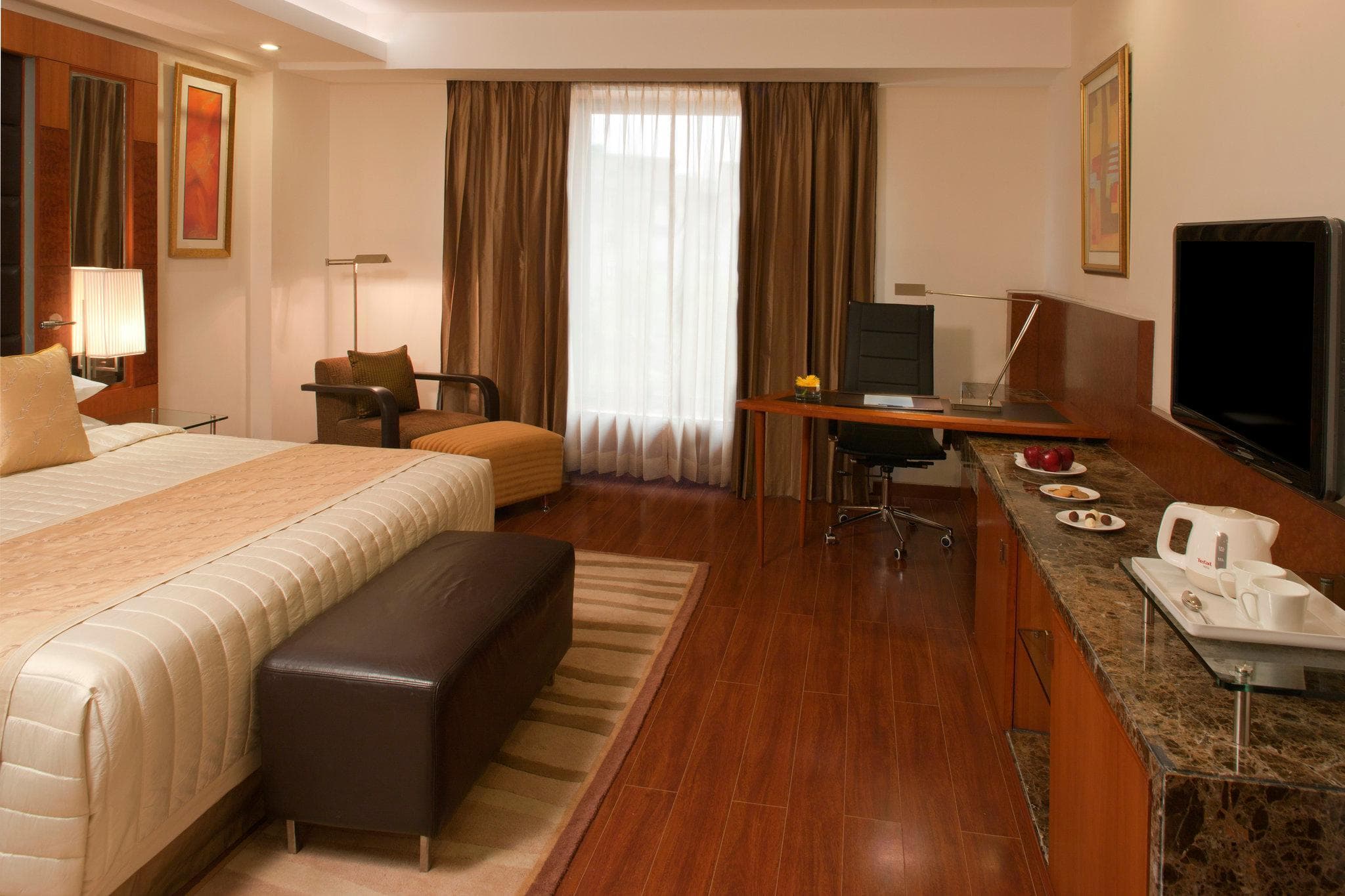 Radisson Blu Plaza Delhi Airport photo 3