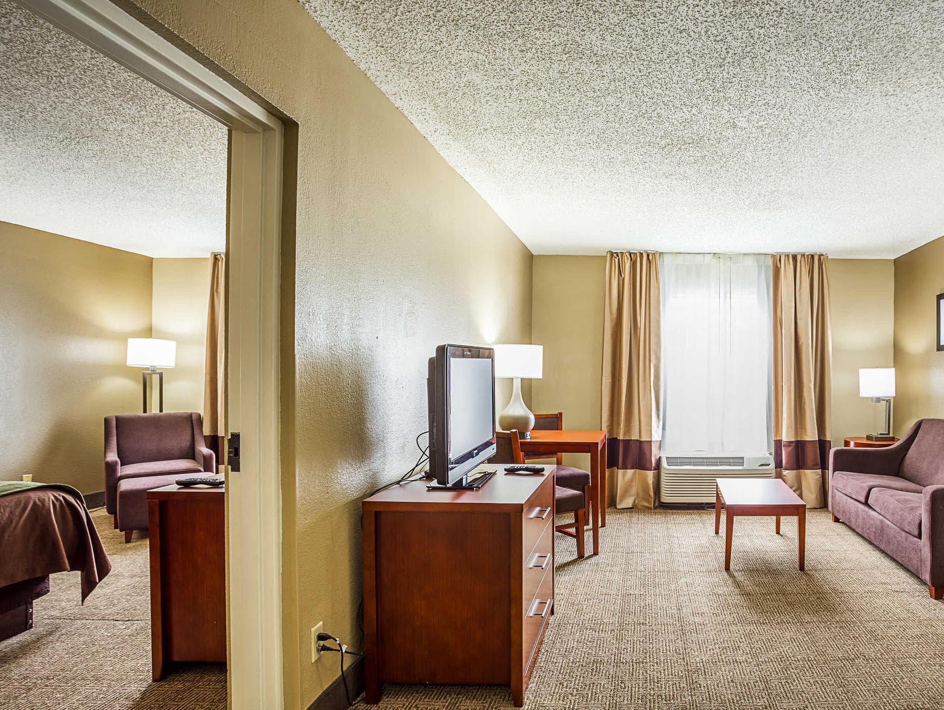 Comfort Inn University Area photo 3