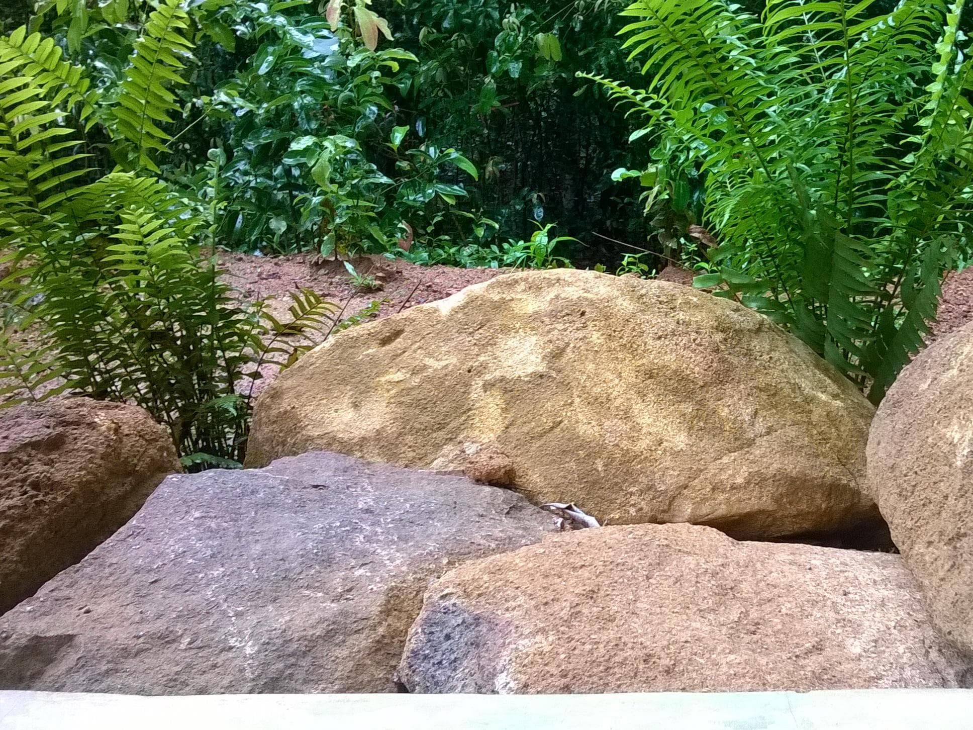 Hotel Garcinia Leaf photo 4