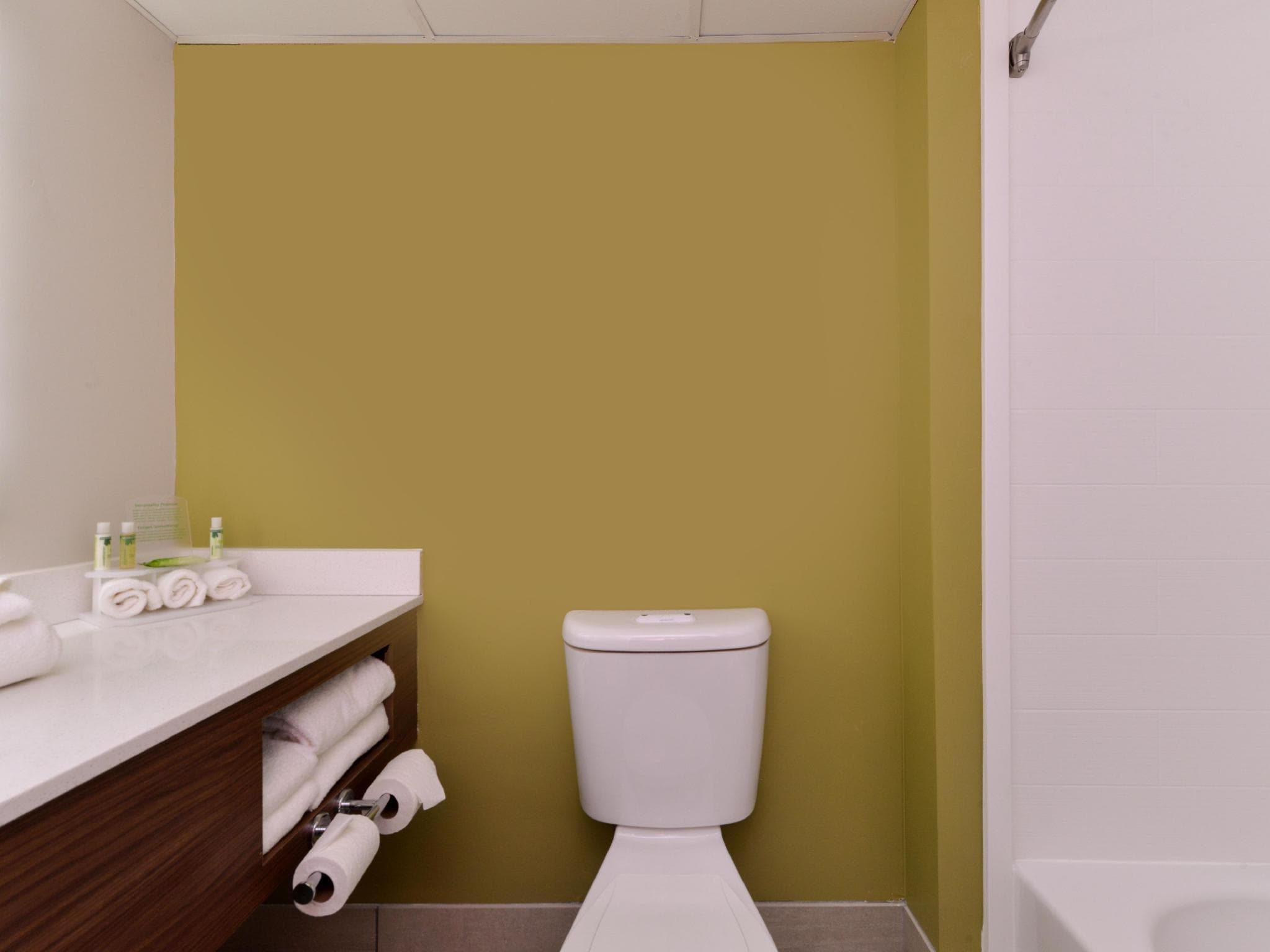 Holiday Inn Express & Suites Raleigh NE - Medical Ctr Area By IHG photo 3
