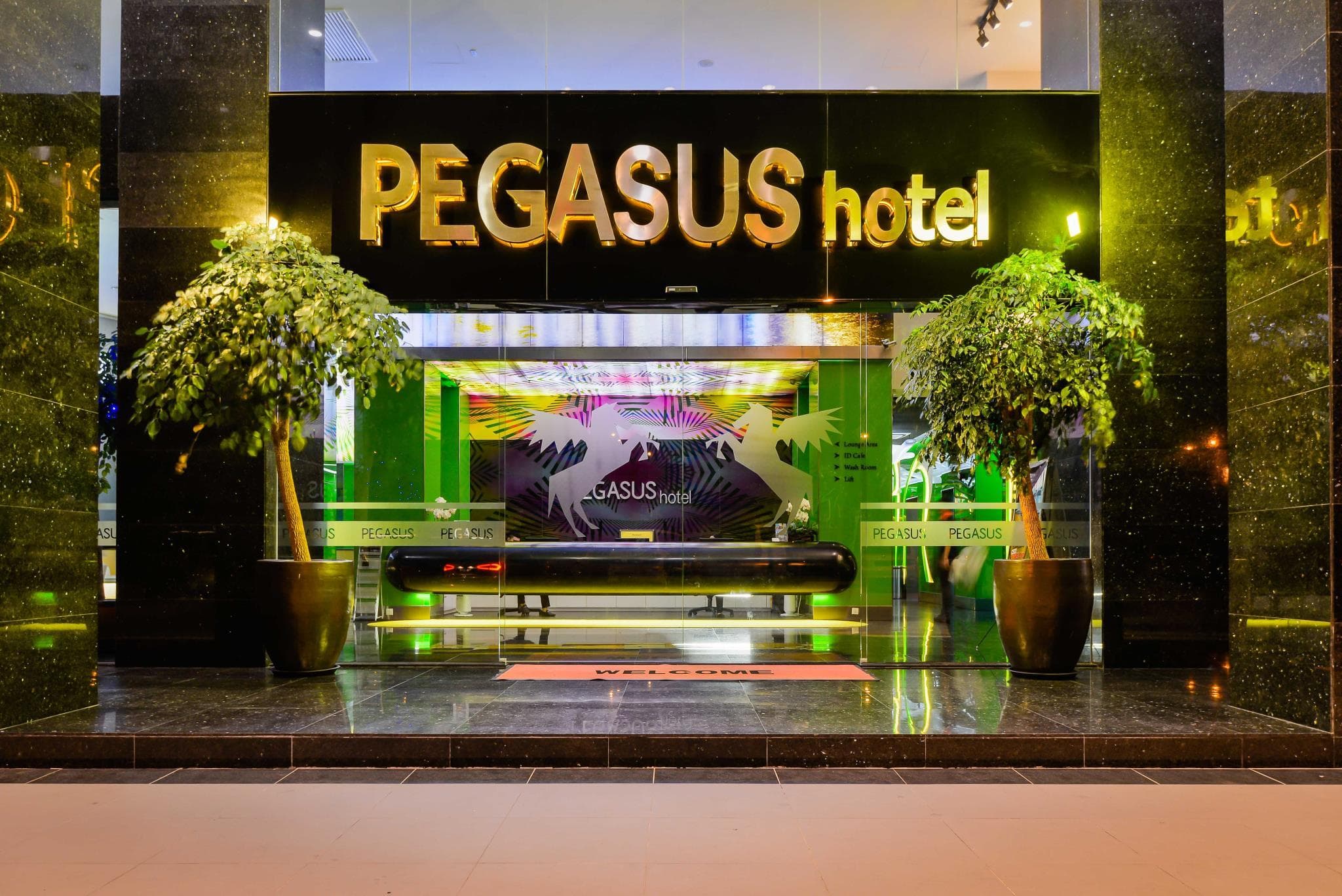 Pegasus Hotel photo 4