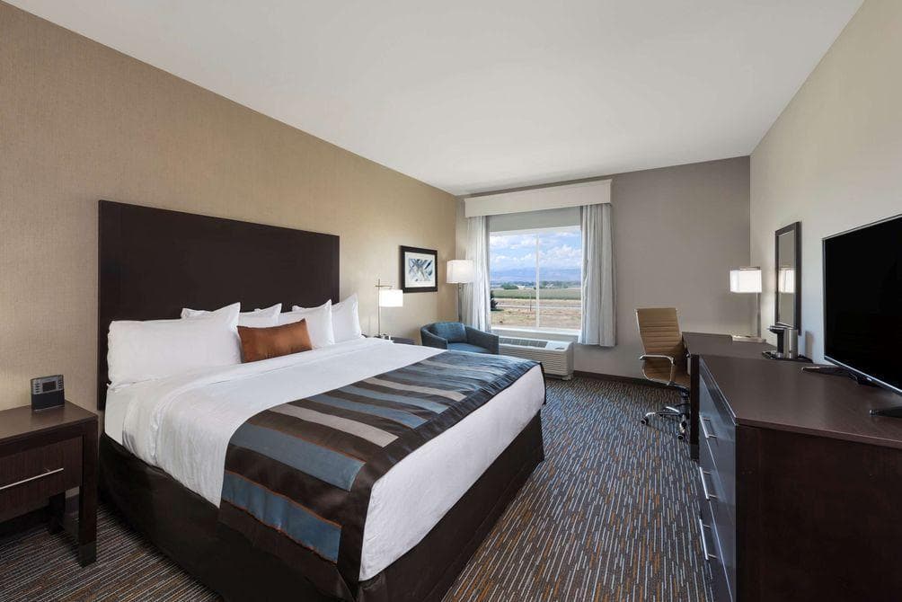 Wyndham Garden Orlando Universal / I Drive photo 2