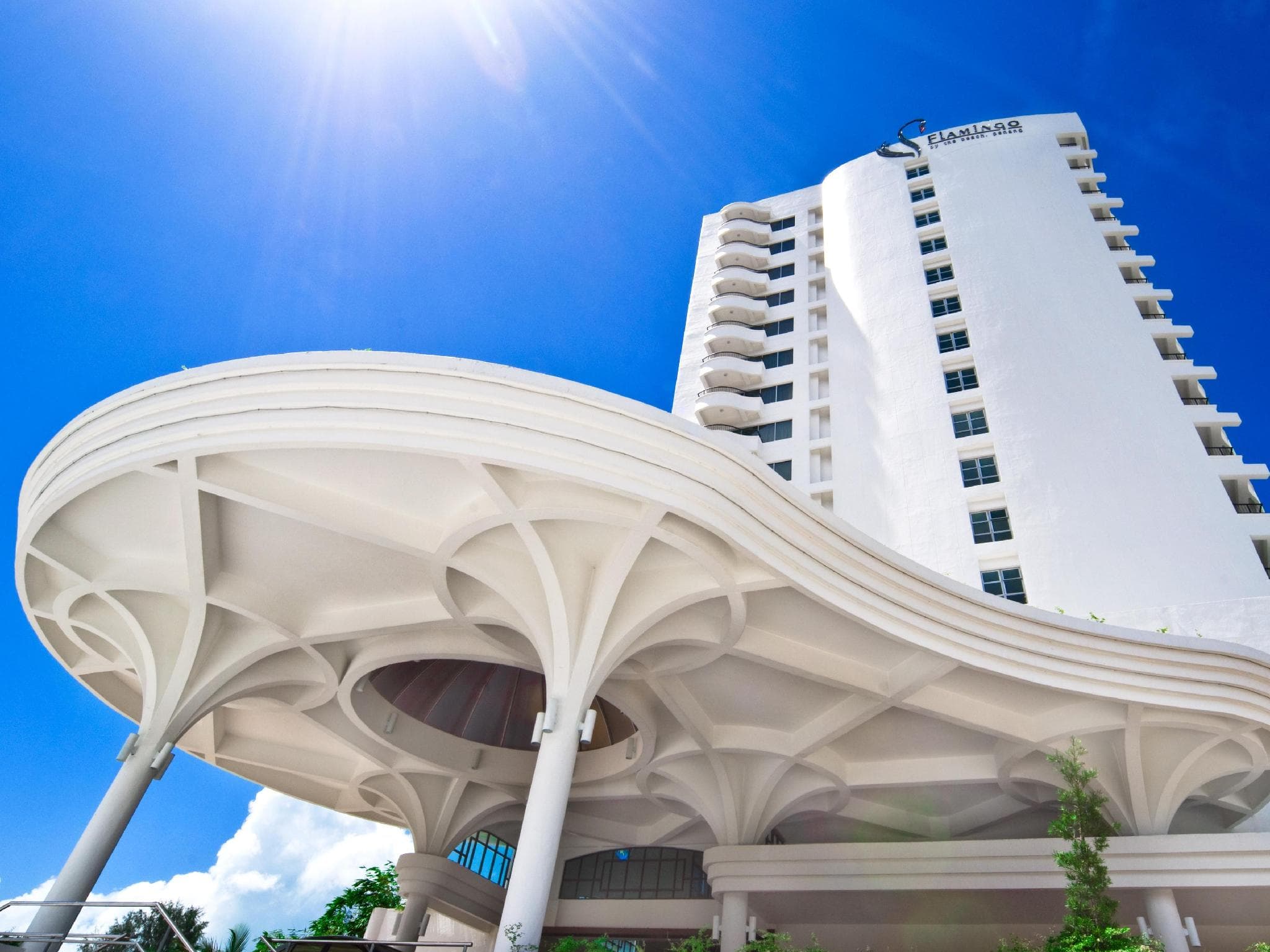 Flamingo Hotel by the Beach photo 3