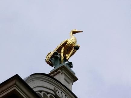 Hotel Jagdschloss Kranichstein photo 3