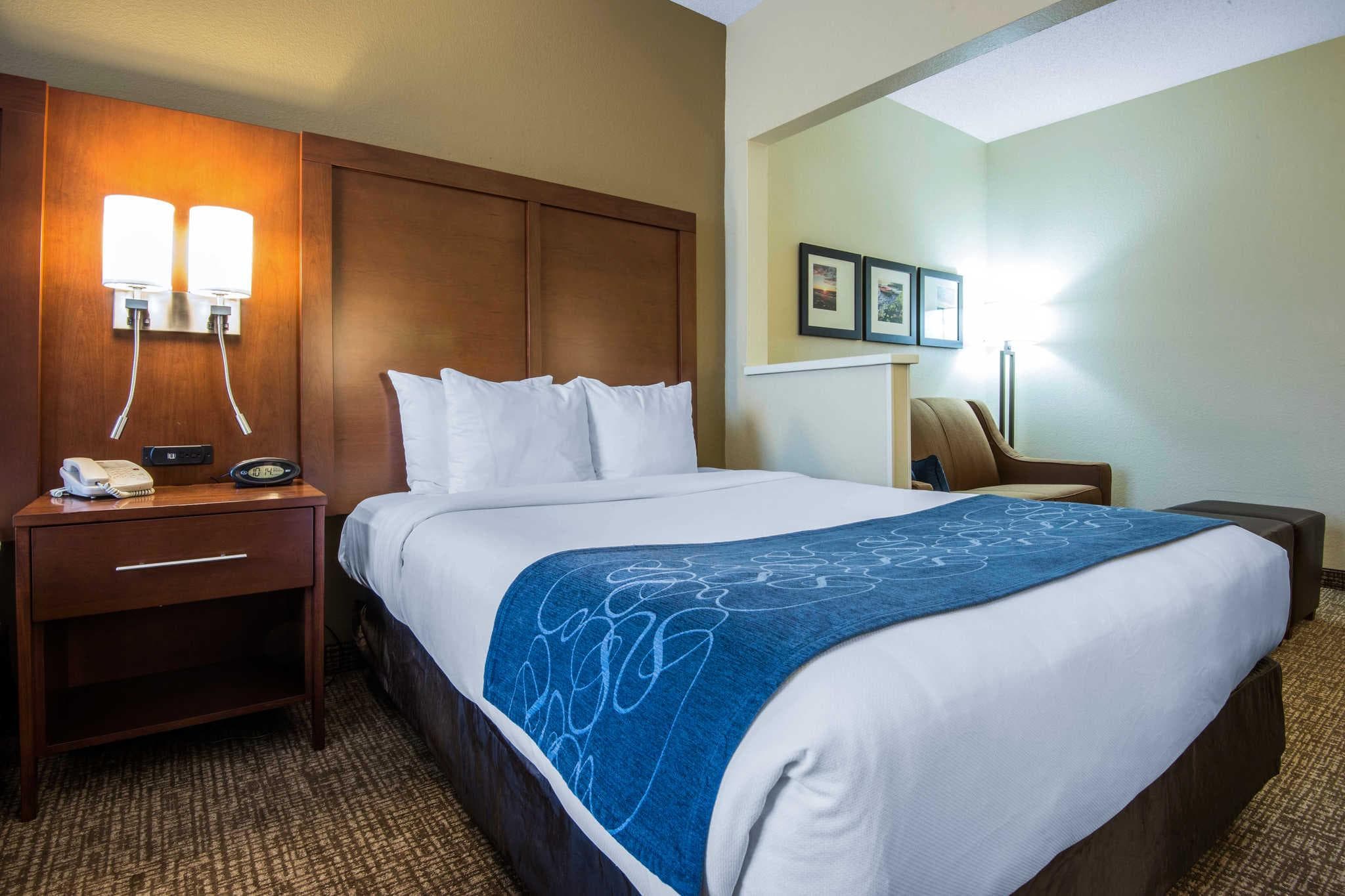 Comfort Suites Rochester Henrietta University Area photo 3