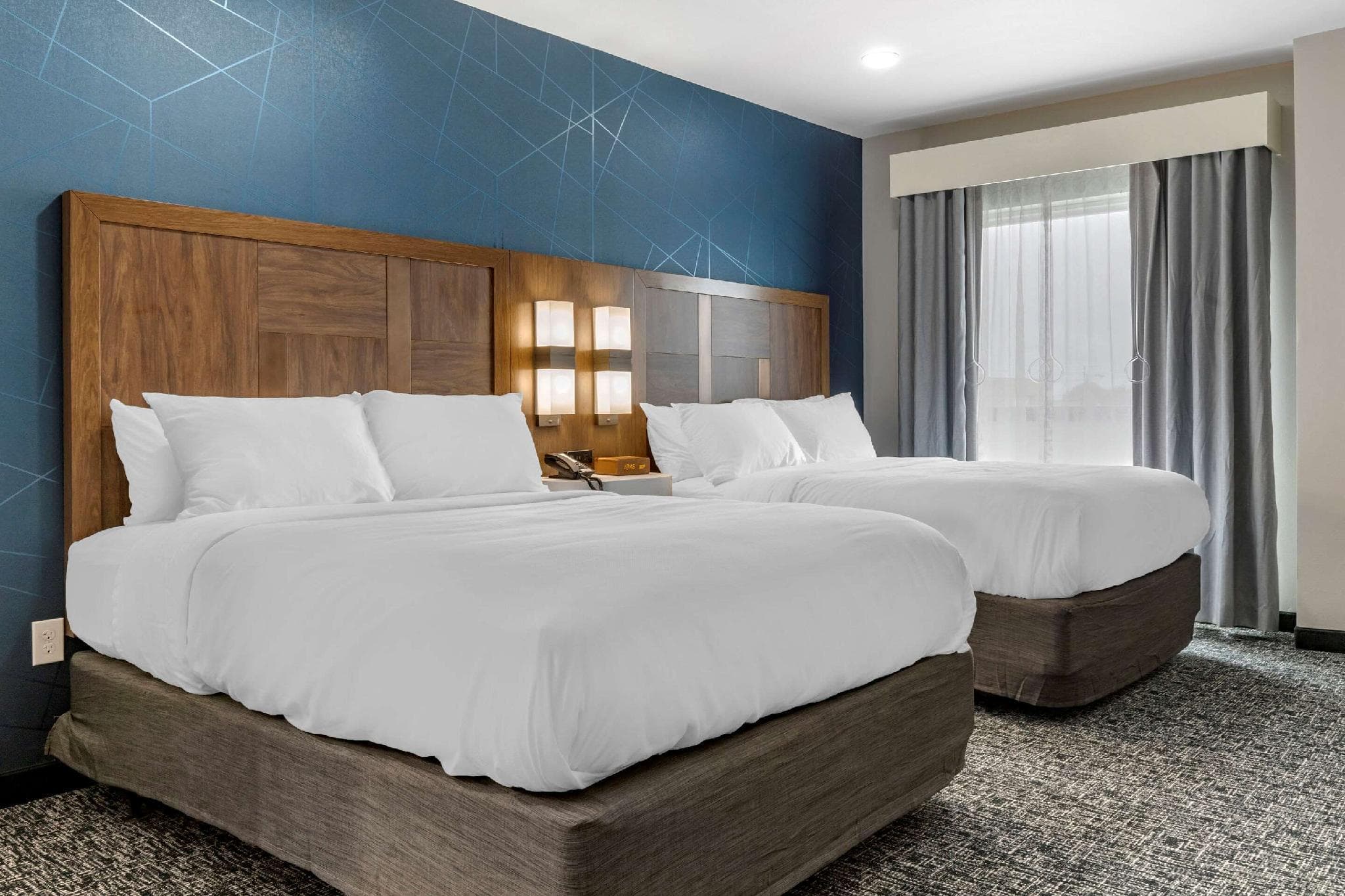 Comfort Suites Greenville Airport photo 2