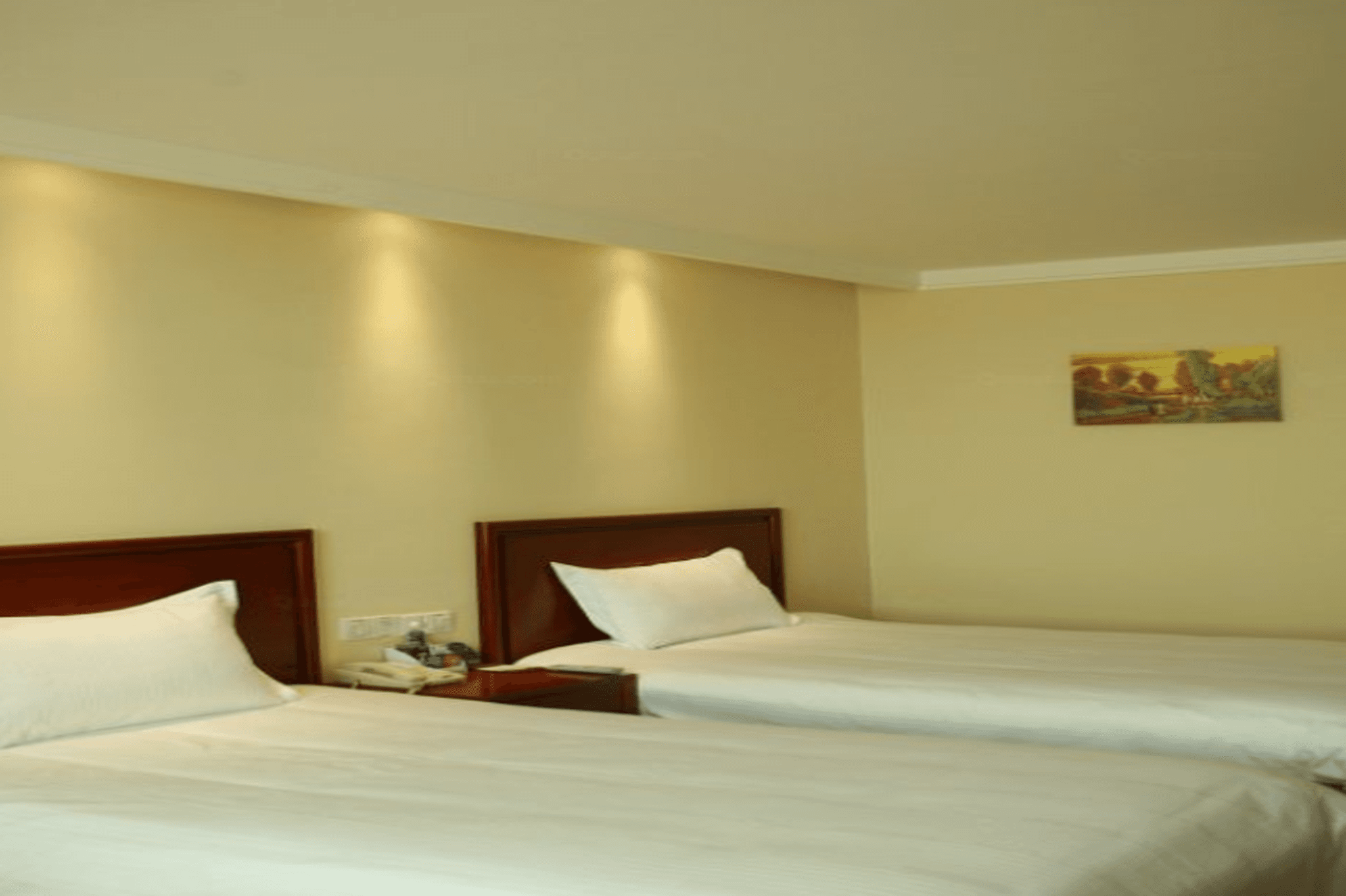 GreenTree Inn Puyang Jingkai Avenue Wuyi Road Business Hotel photo 2