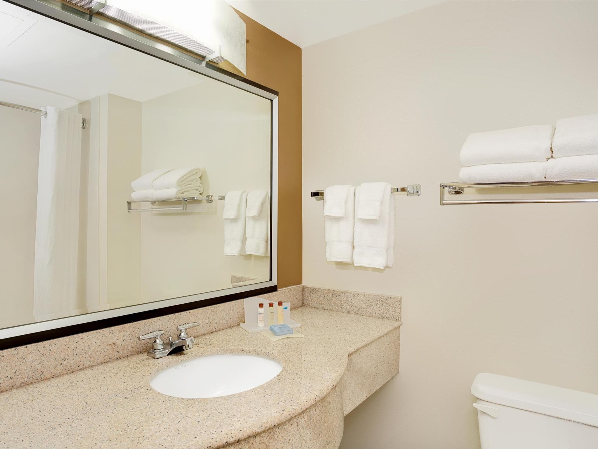 Wingate by Wyndham Raleigh Durham / Airport photo 3