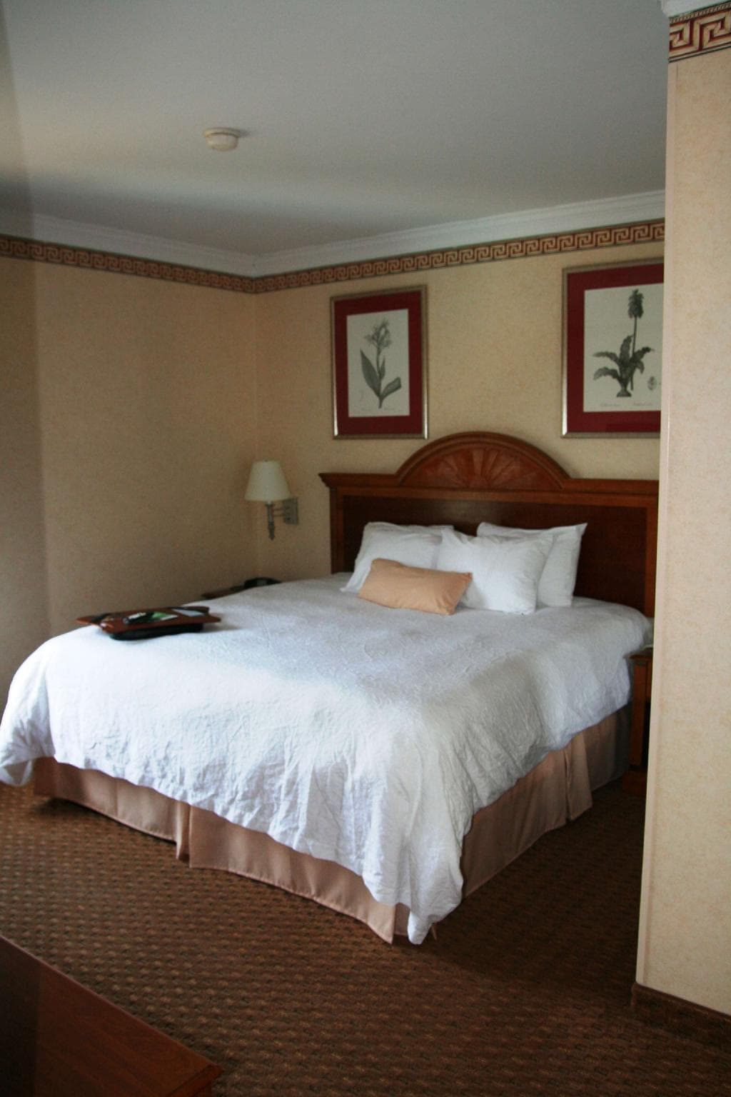 Hampton Inn Charleston-North photo 2
