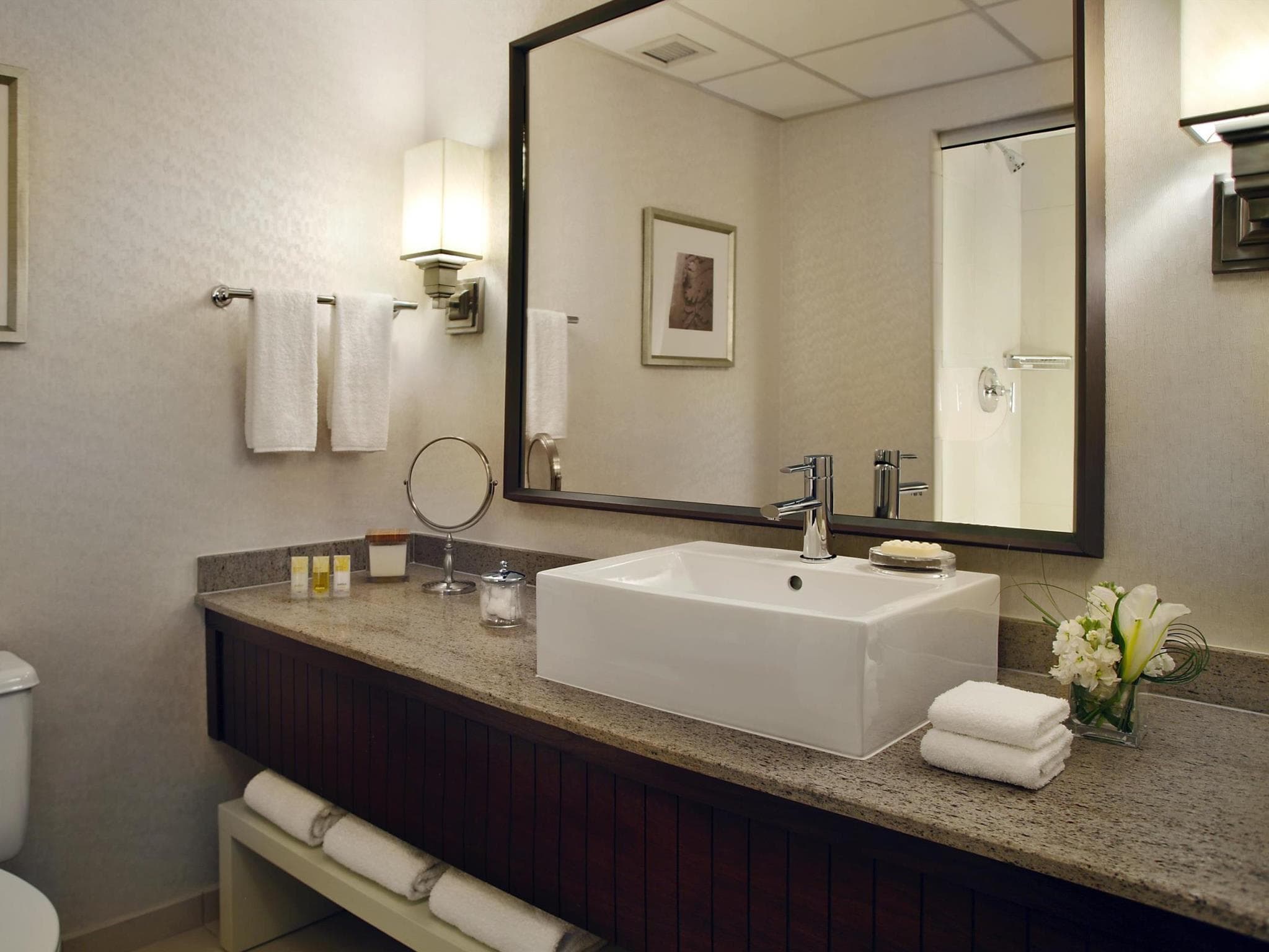 Hyatt Regency St Louis At The Arch photo 5