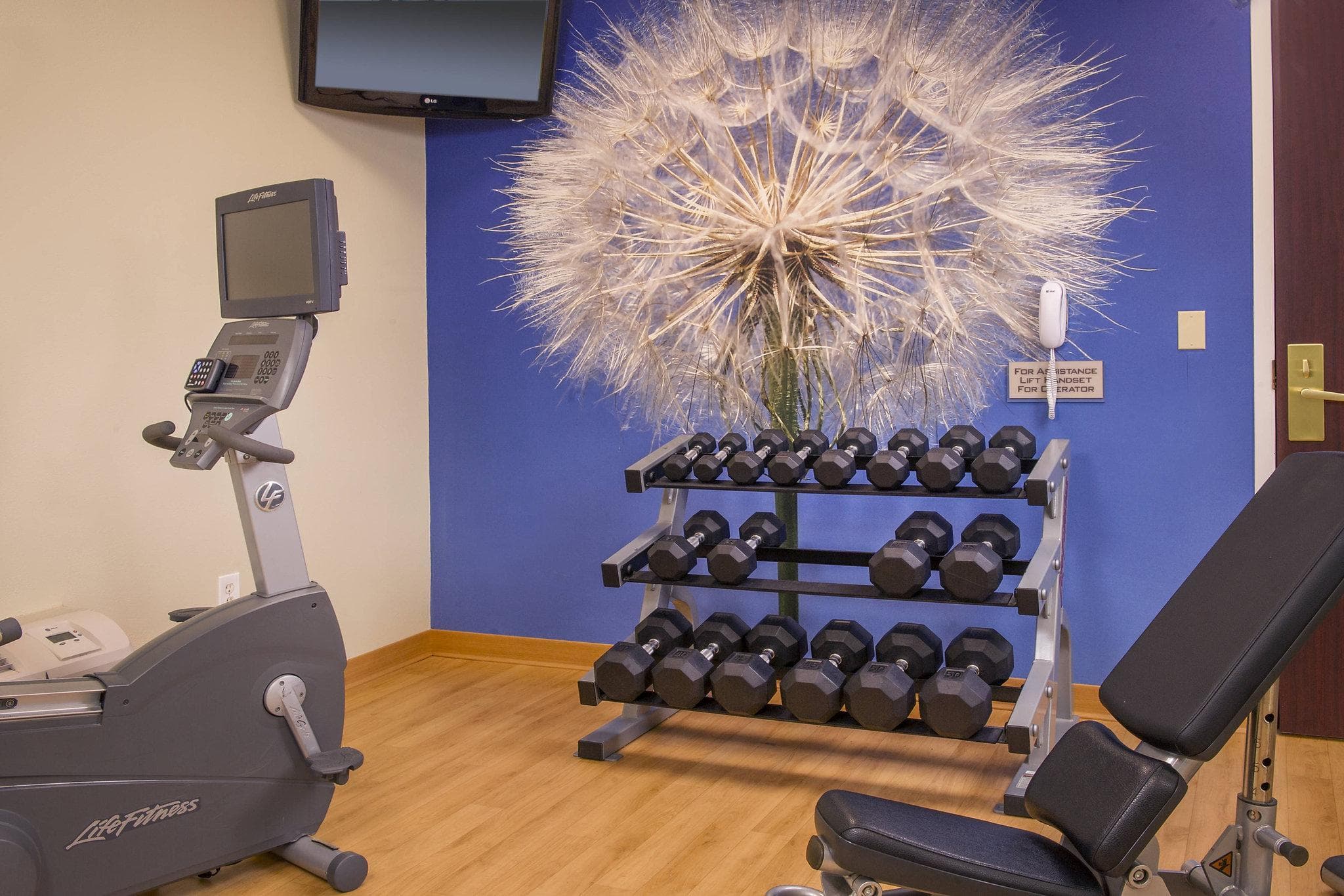 SpringHill Suites by Marriott Raleigh-Durham Airport/Research Triangle Park photo 3