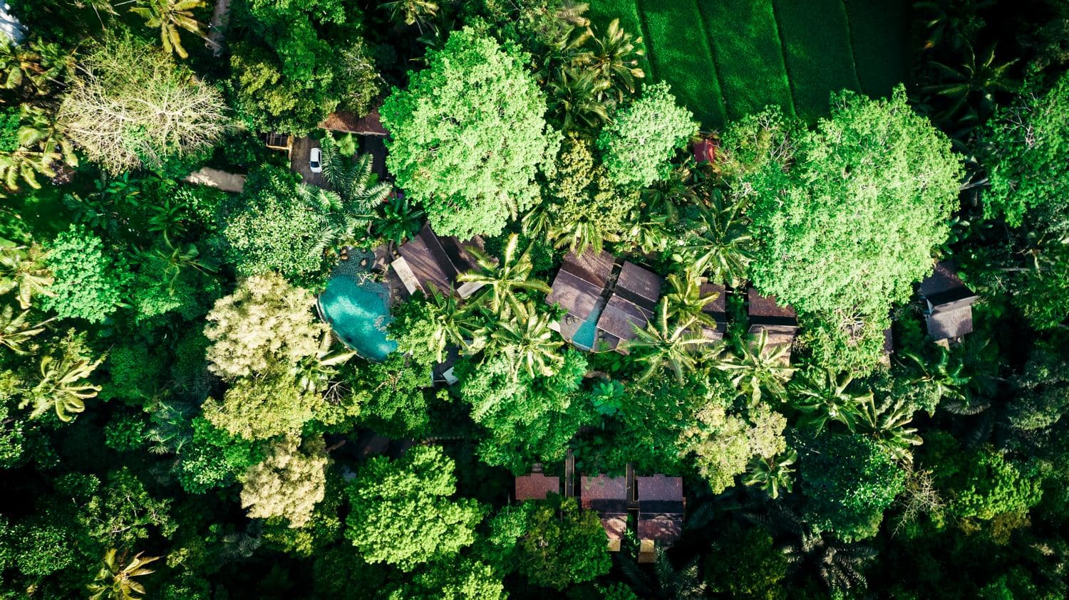 Pramana Giri Kusuma photo 4
