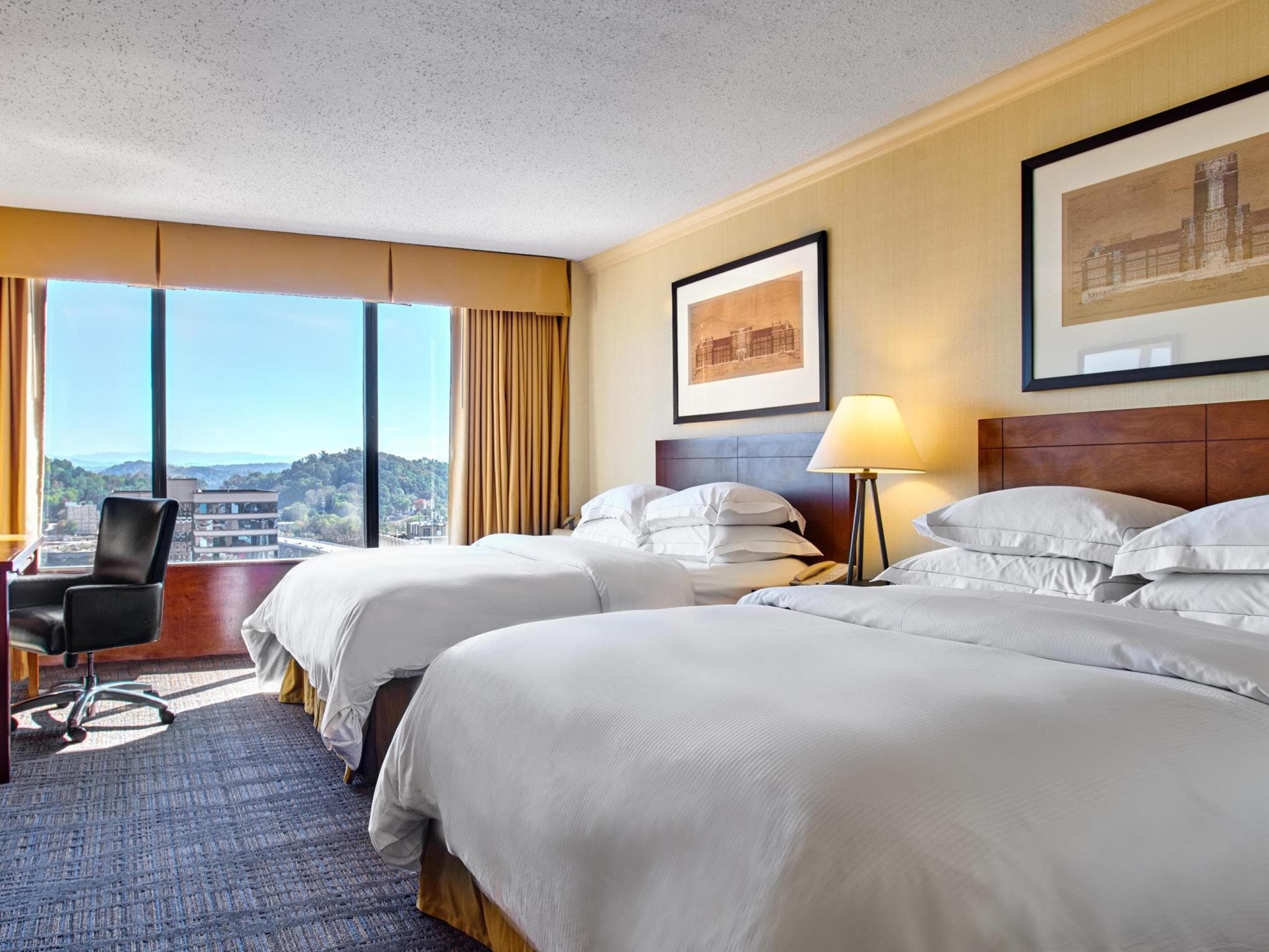 Hilton Knoxville photo 3