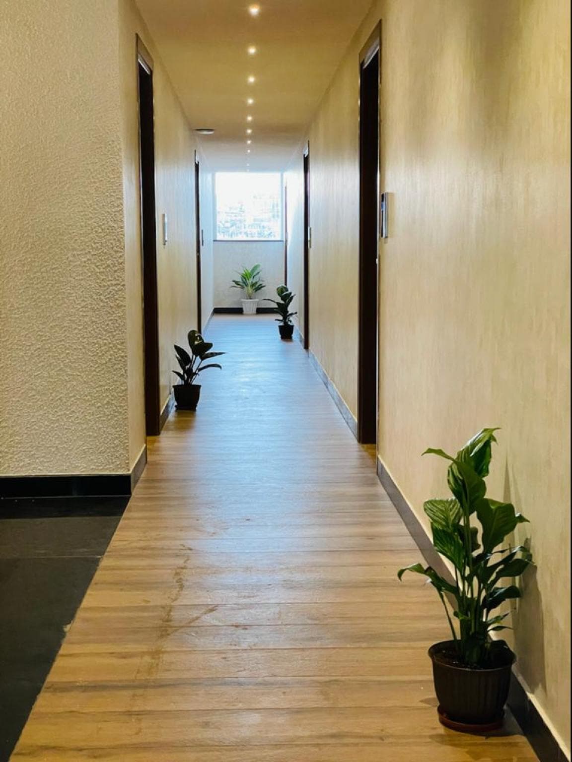 Royal Ace Boutique Hotel photo 3