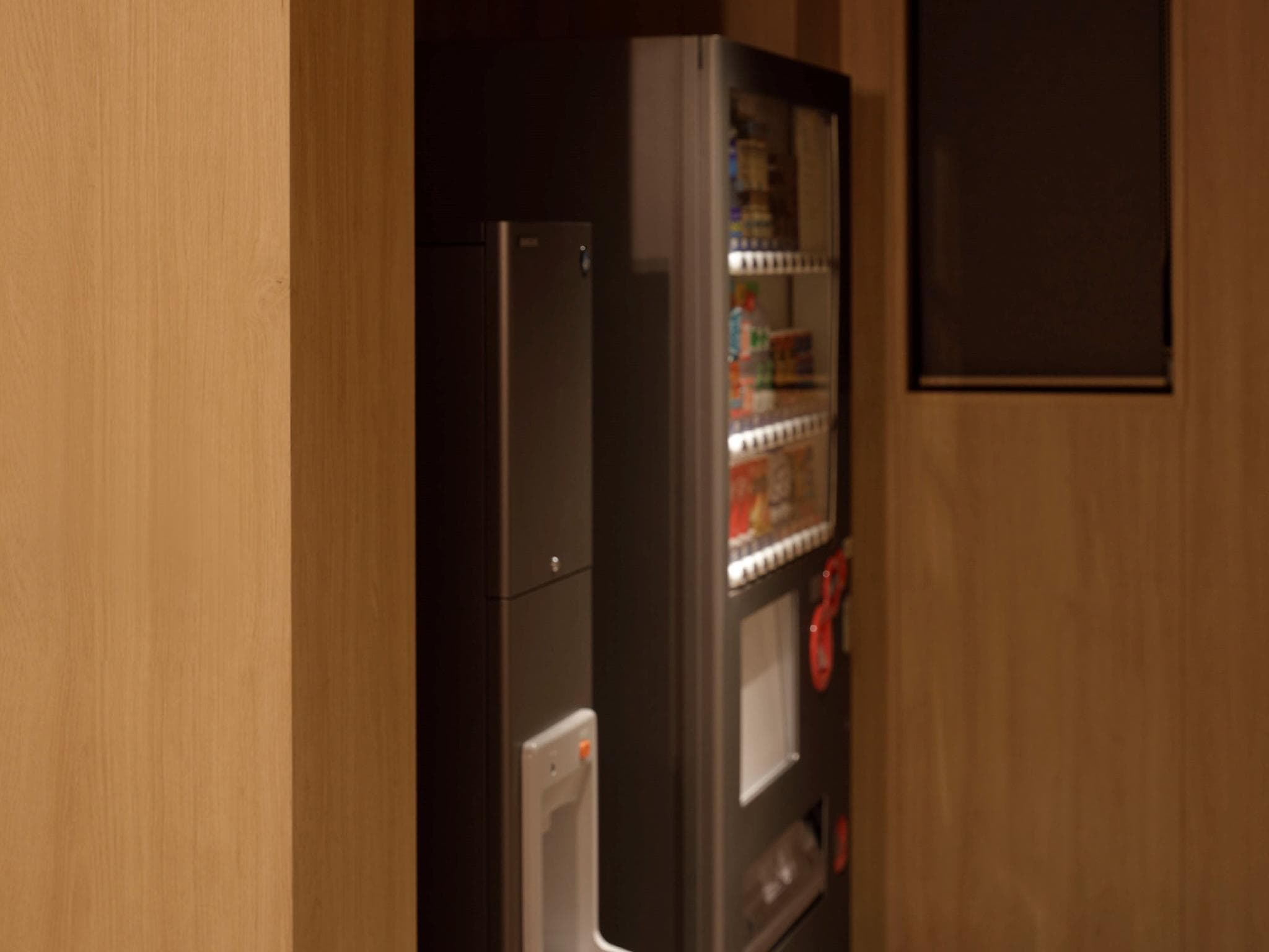 HOTEL THE LEBEN OSAKA photo 3