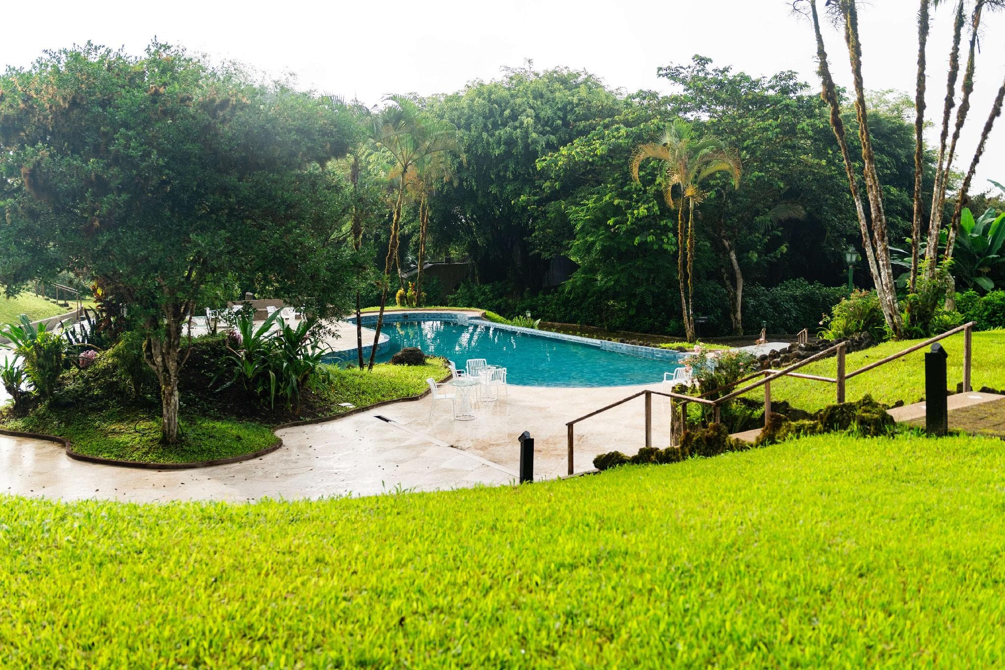 Royal Palm Galapagos, Curio Collection by Hilton photo 4