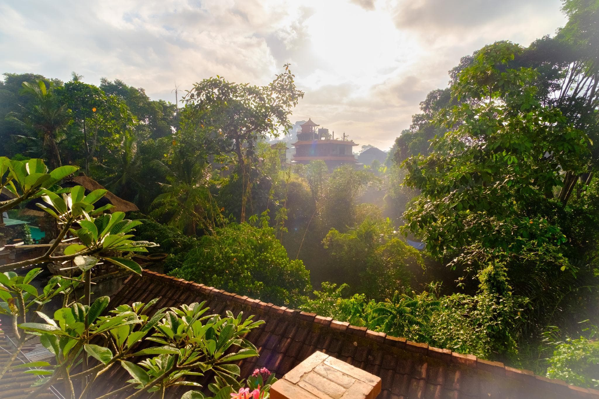 Bali Ubud Harmony photo 3