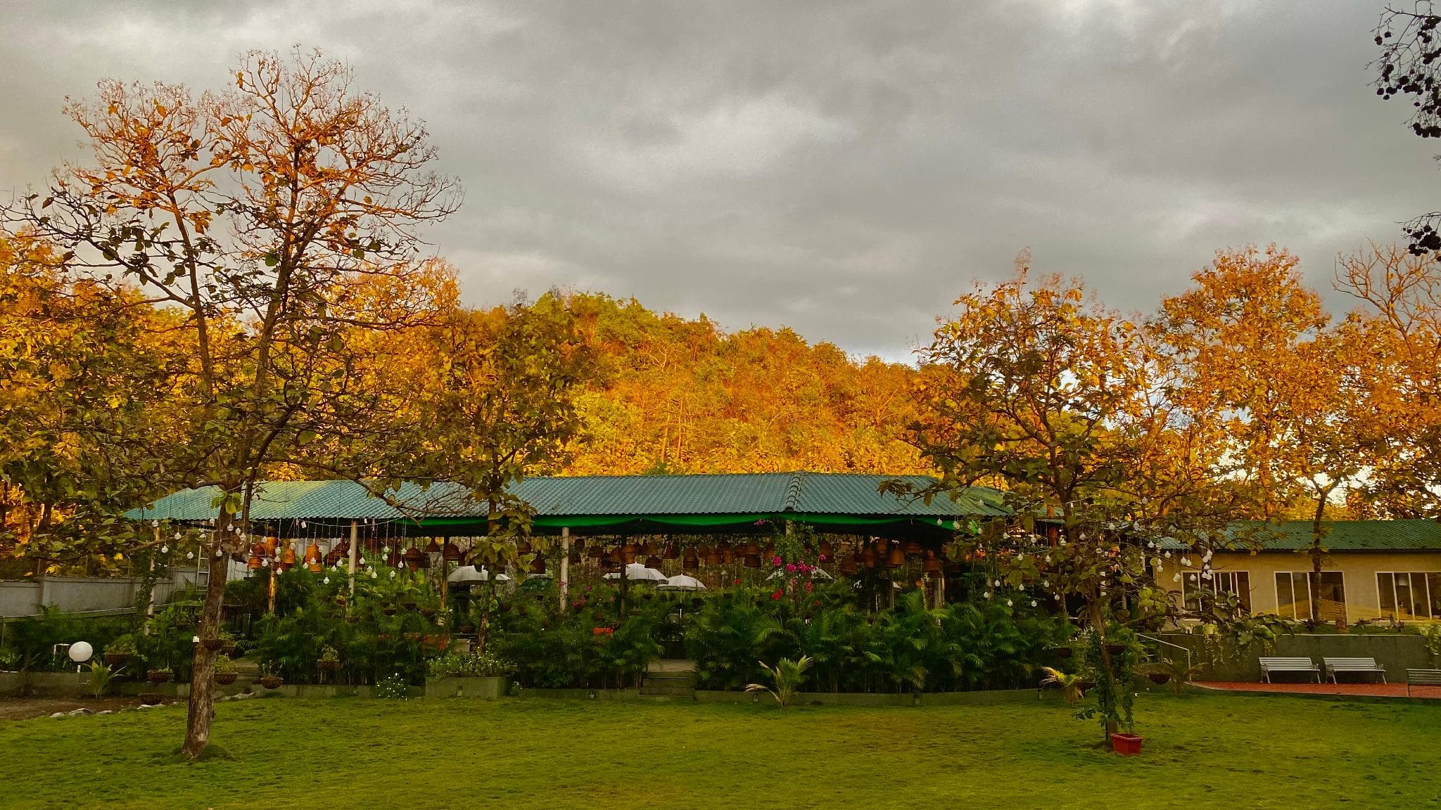 SpicyMango Kalangan Farms photo 5