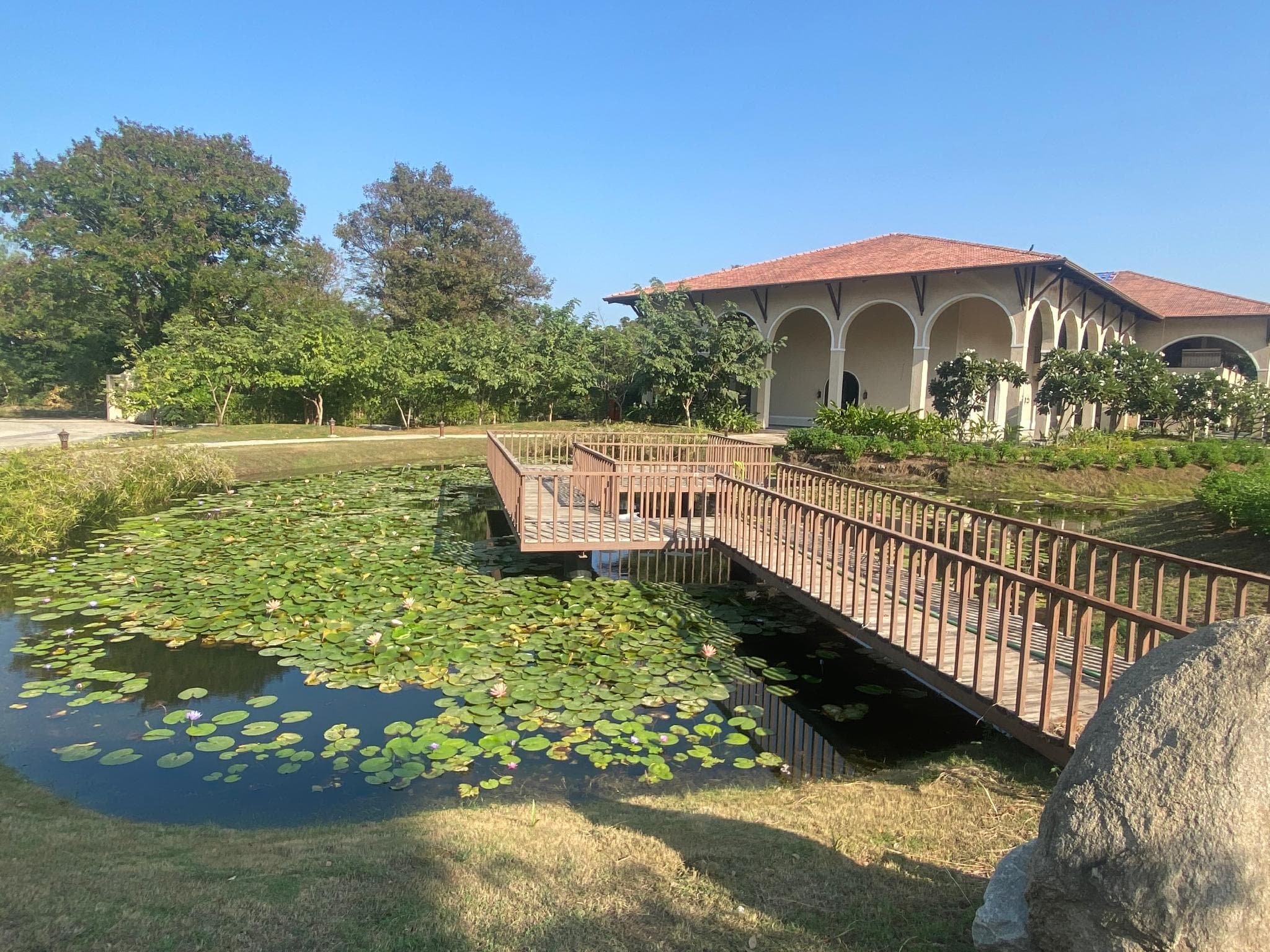 Bhanu The Fern Forest Resort & Spa Jambughoda, Series by Marriott photo 3