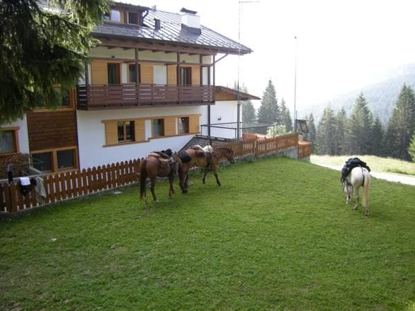 Hotel Piccolo Pocol photo 2