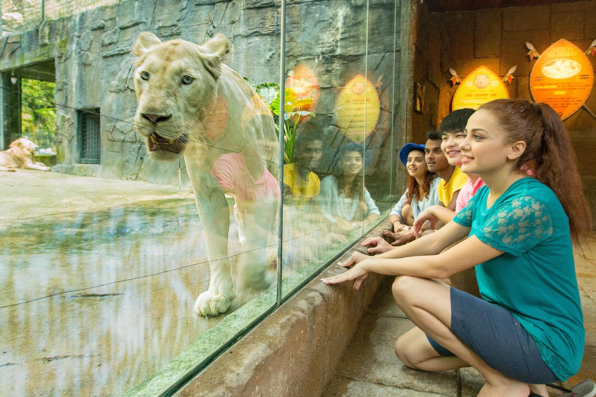Lagoon Villa at Sunway Lagoon Theme Parks photo 3