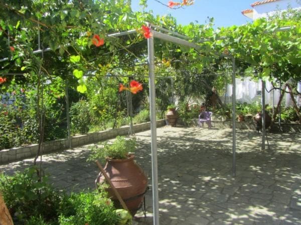 Ianos Apartments photo 3
