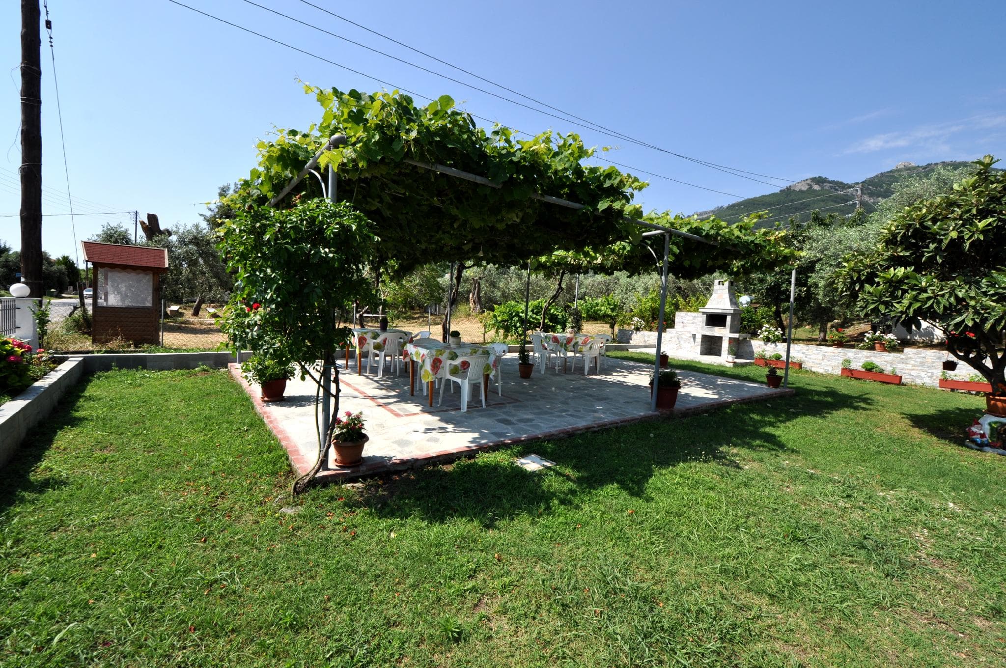 House Elena photo 5