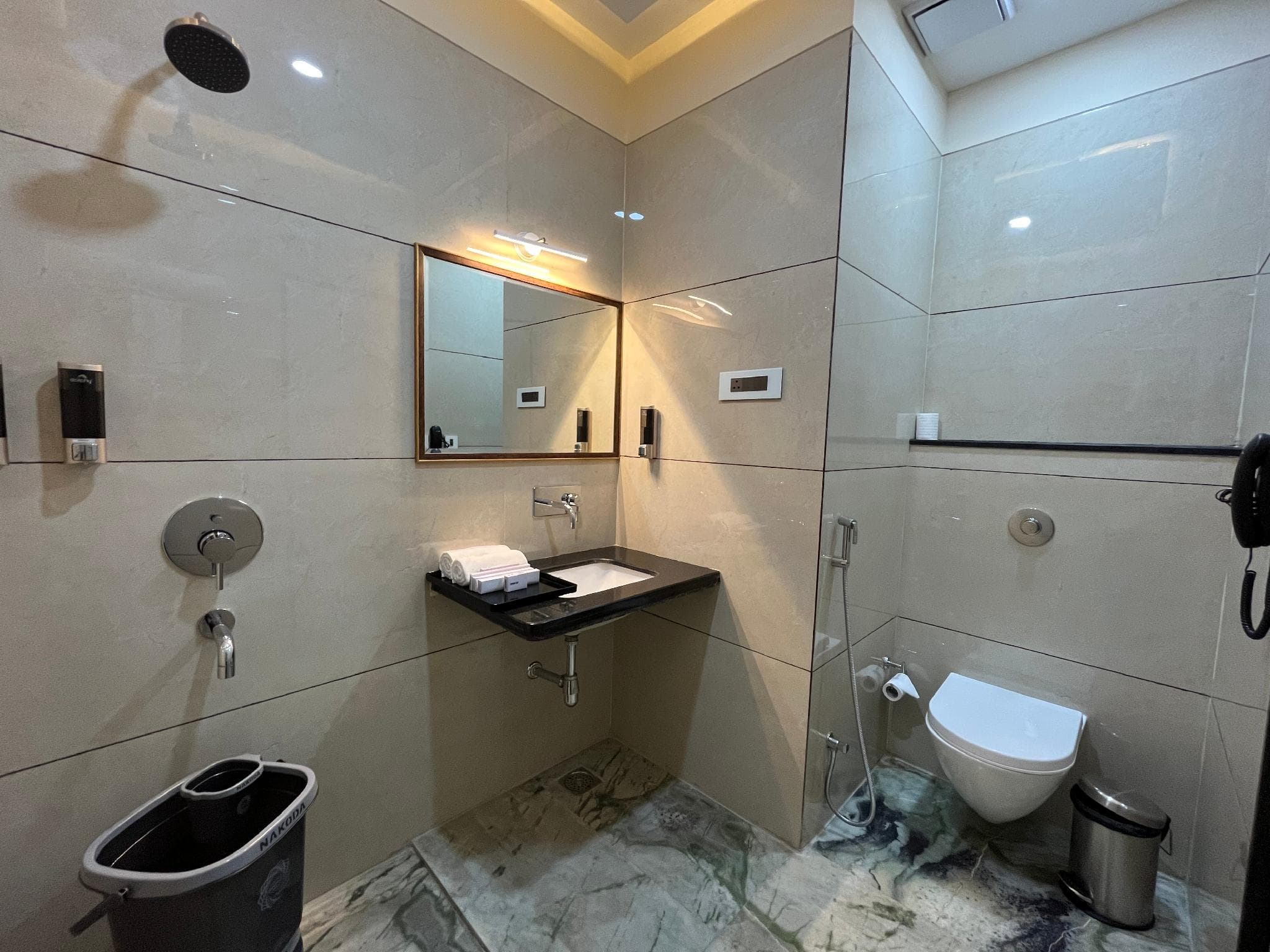 Hotel Dolphin Grand, Varanasi photo 2