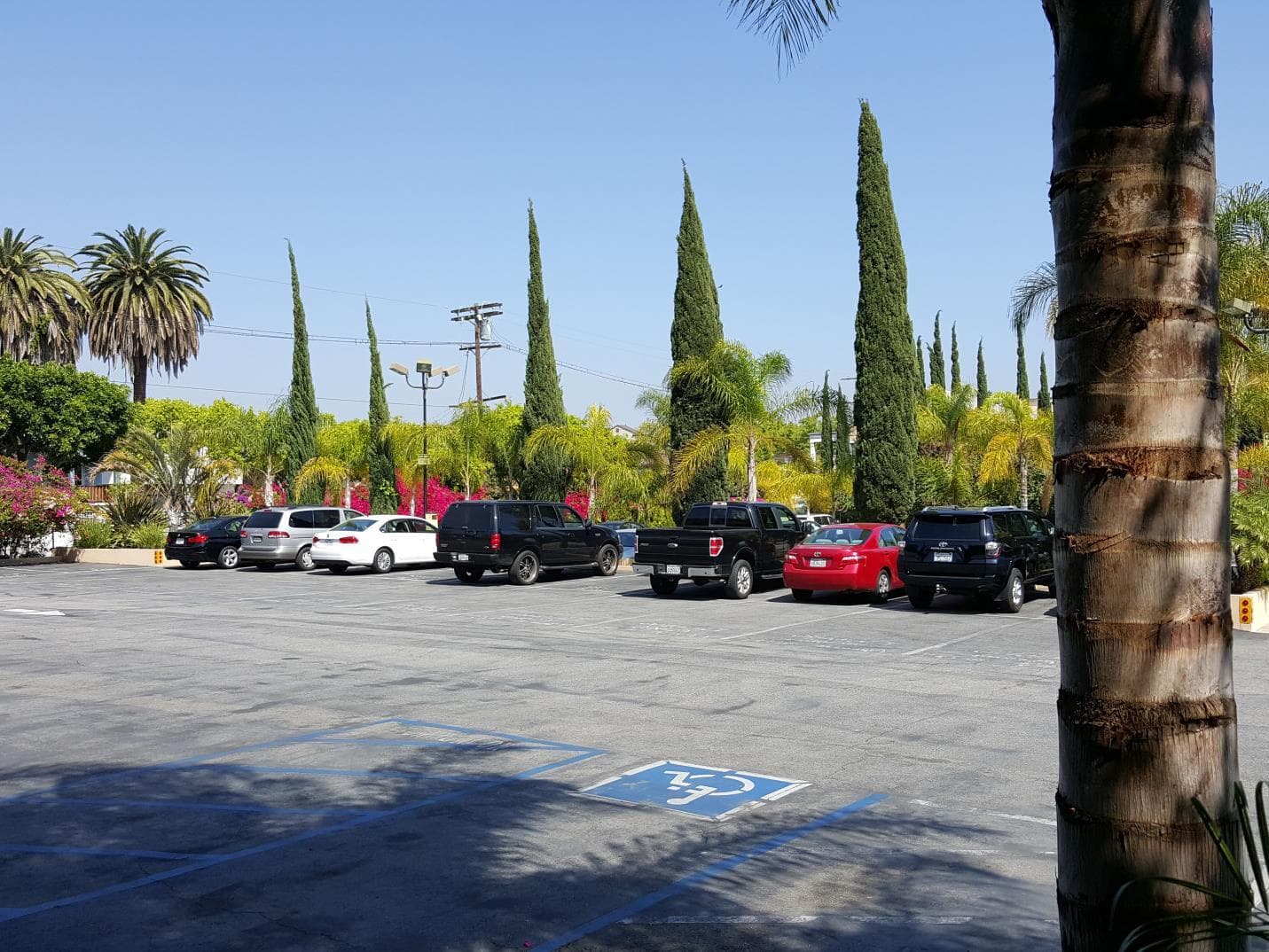 Hollywood Hotel photo 4