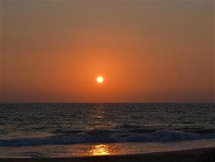 Sea Shine photo 3