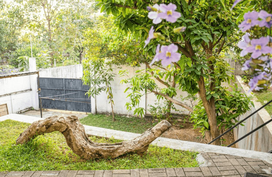 Battaramulla Boutique Villa photo 3