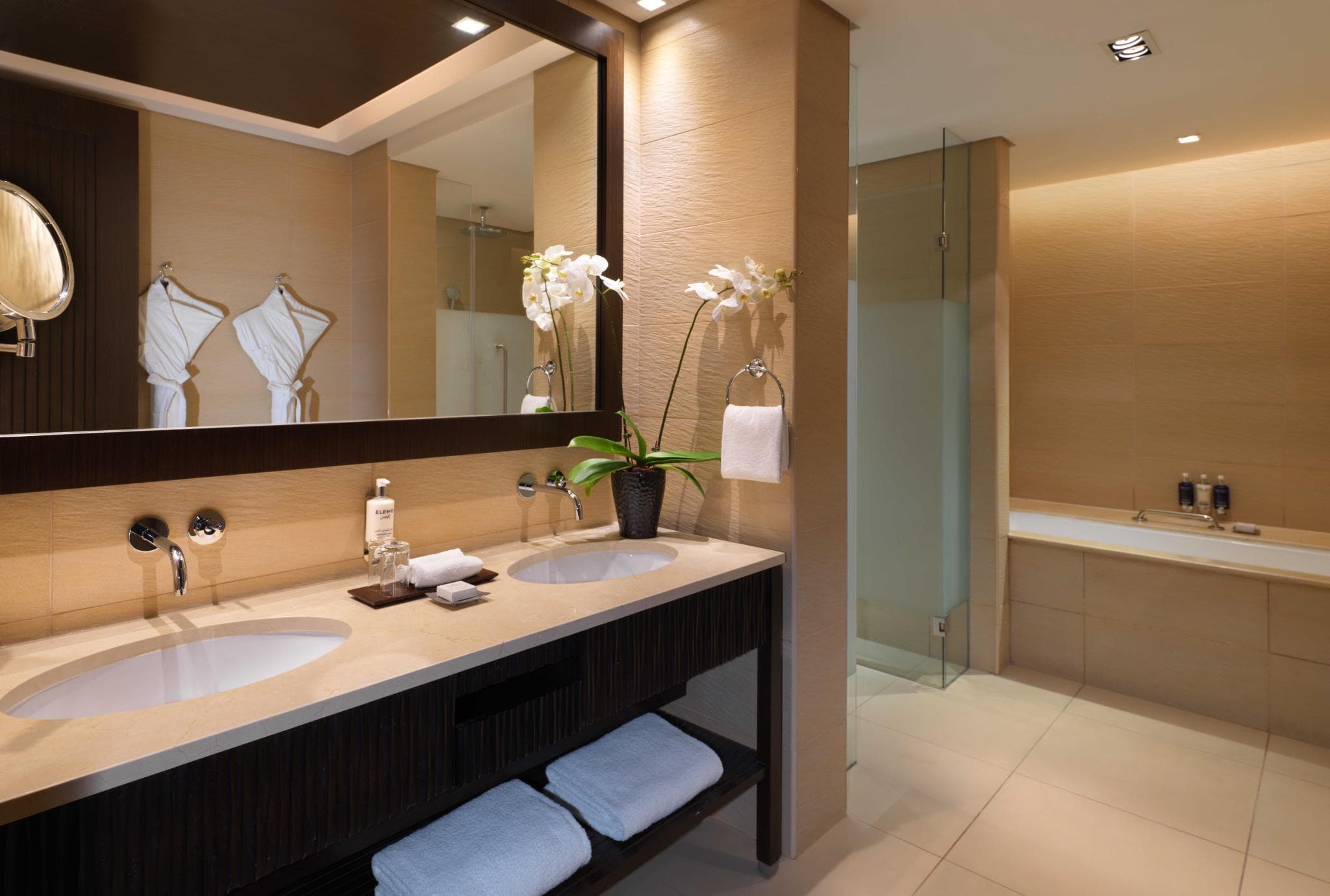 Anantara The Palm Dubai Resort photo 2