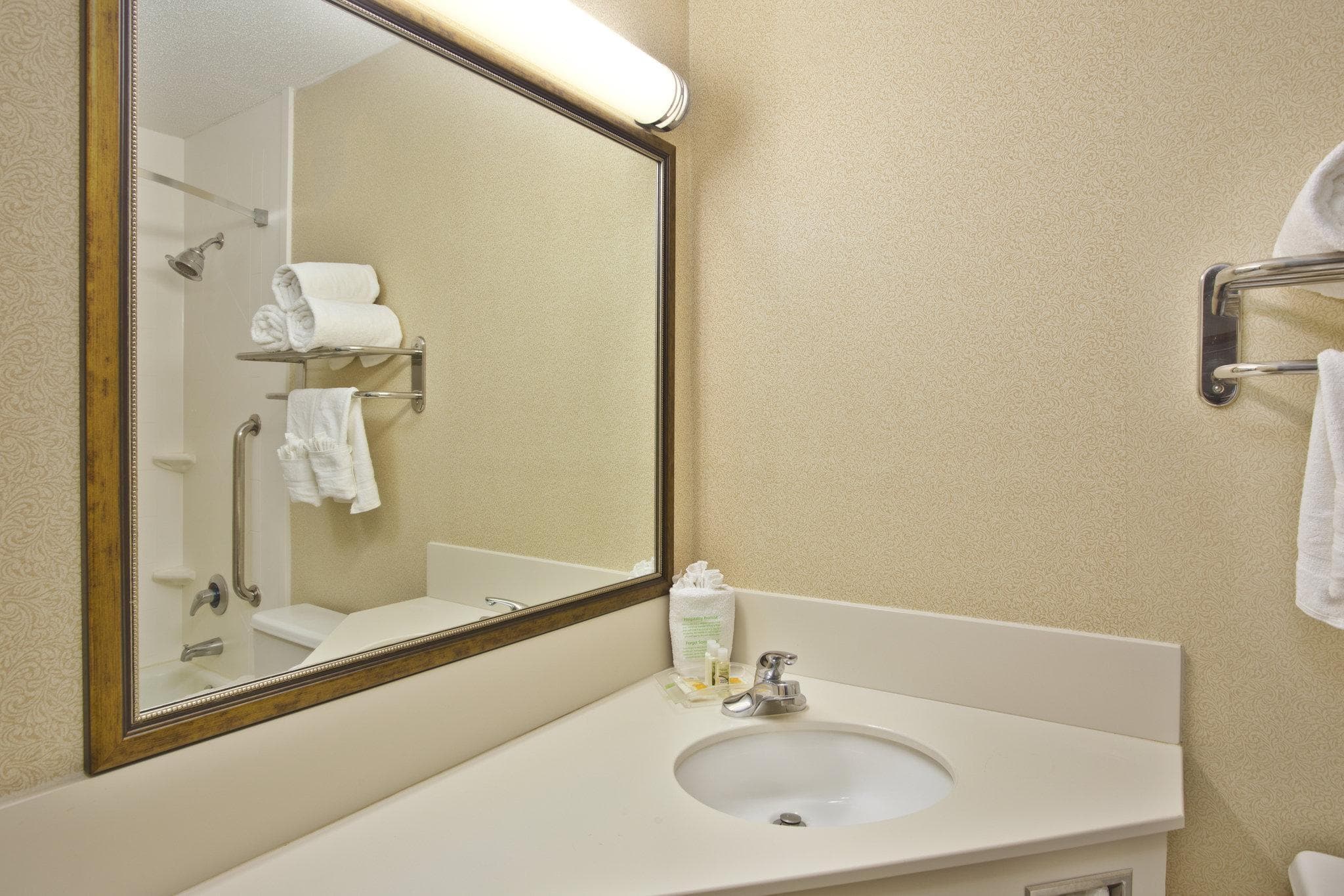 Holiday Inn Baton Rouge-South By IHG photo 2