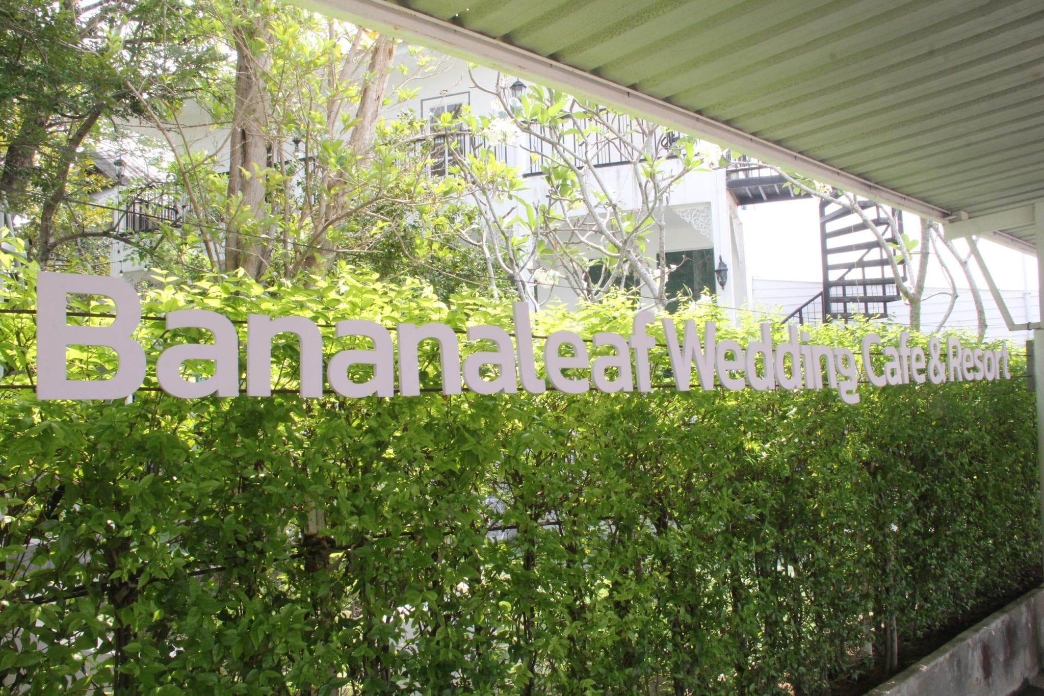 Bananaleaf Wedding Cafe & Resort photo 5