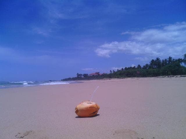 Ocean View Hotel photo 4