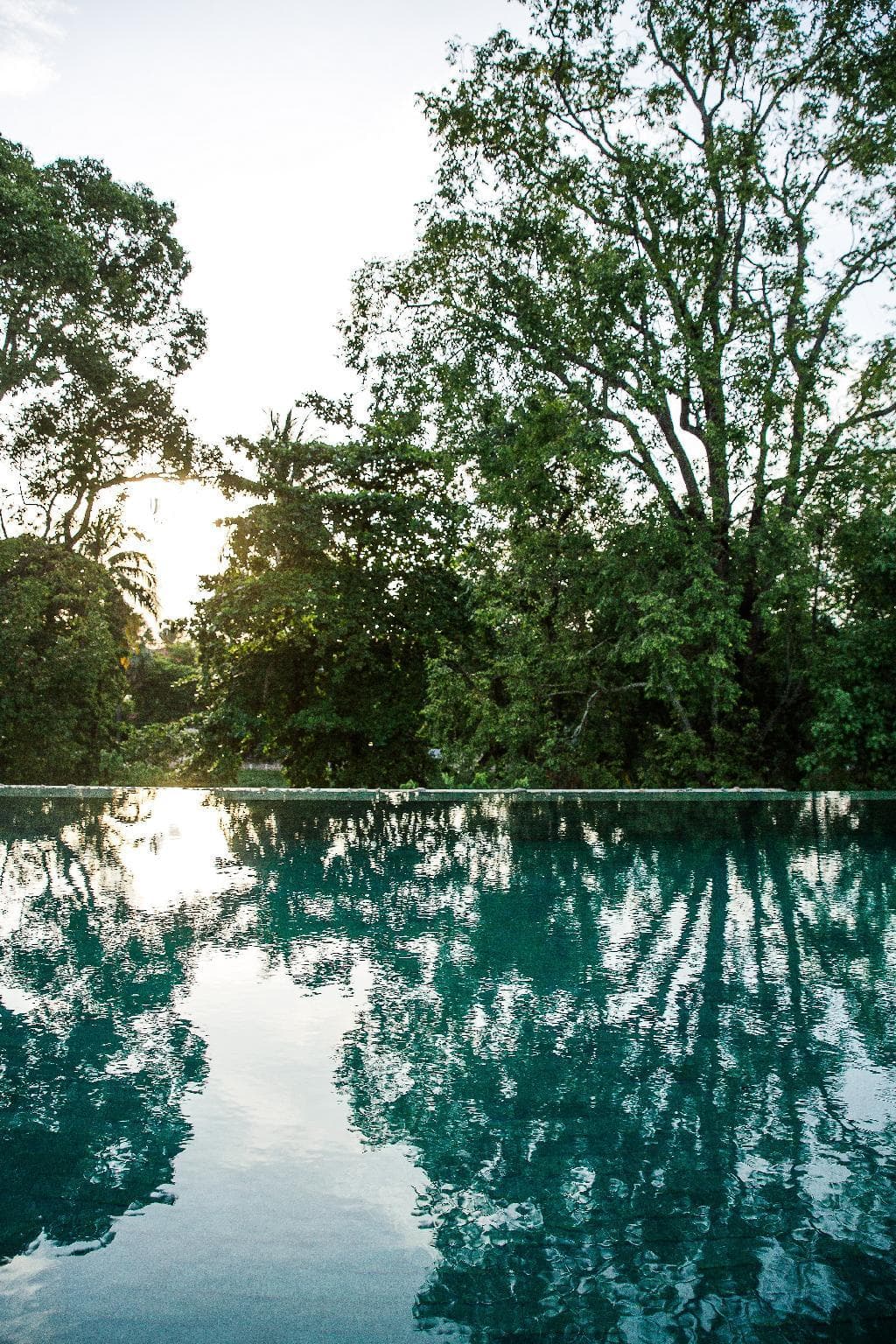 Treeline Urban Resort photo 3